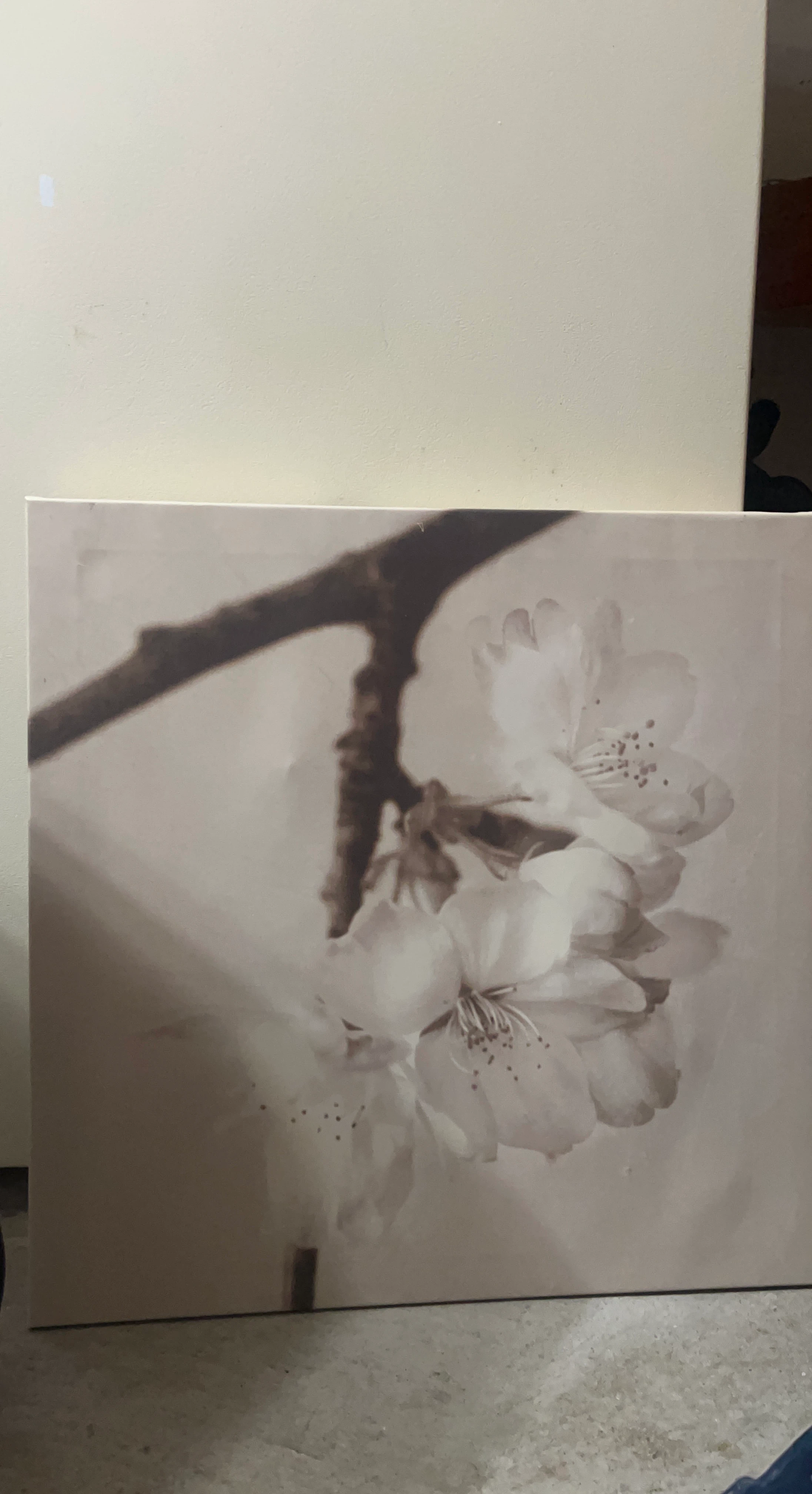 Wall Art Canvas Print - Cherry Blossoms