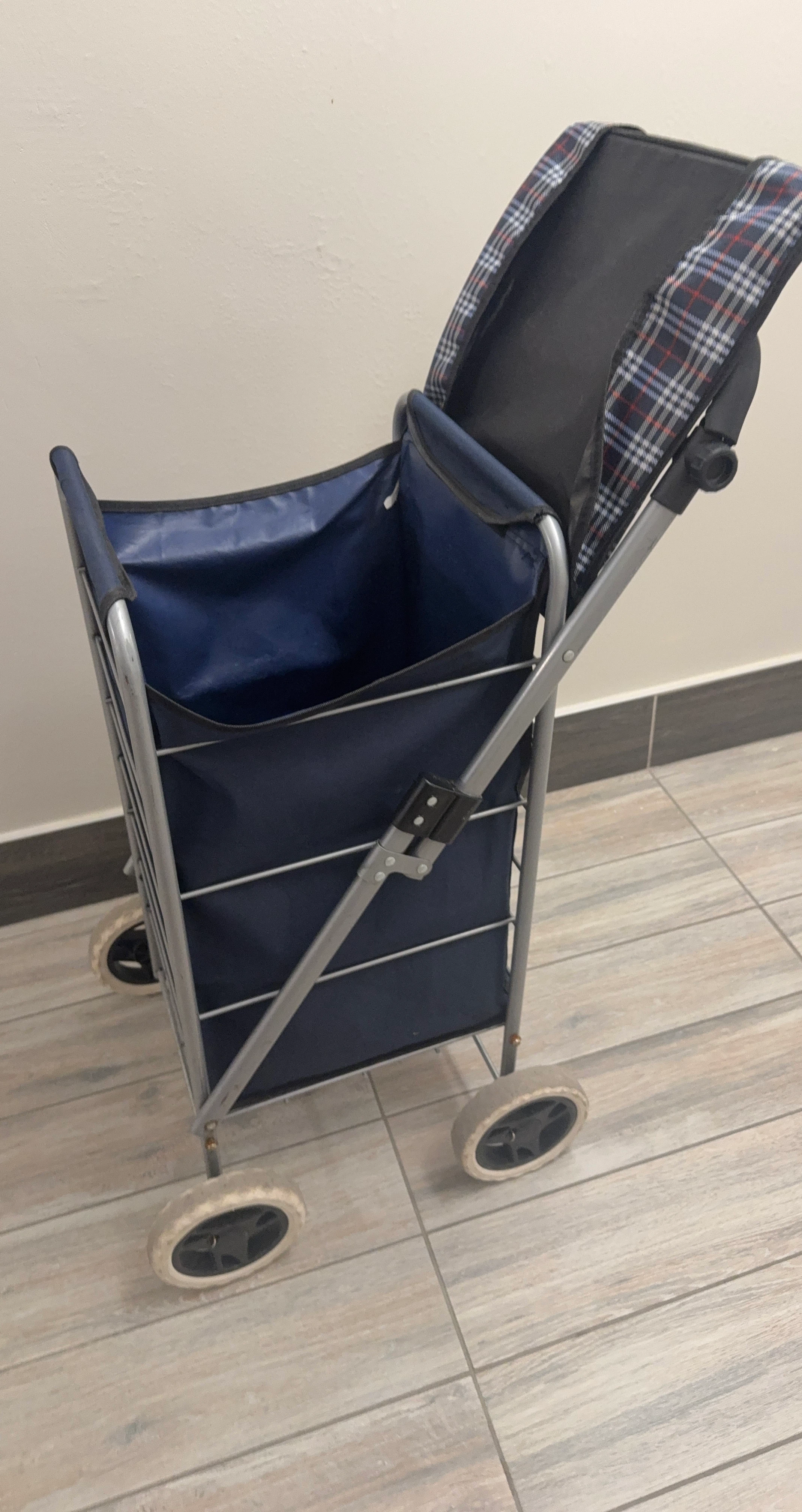 Blue Shopping Cart with Plaid Trim