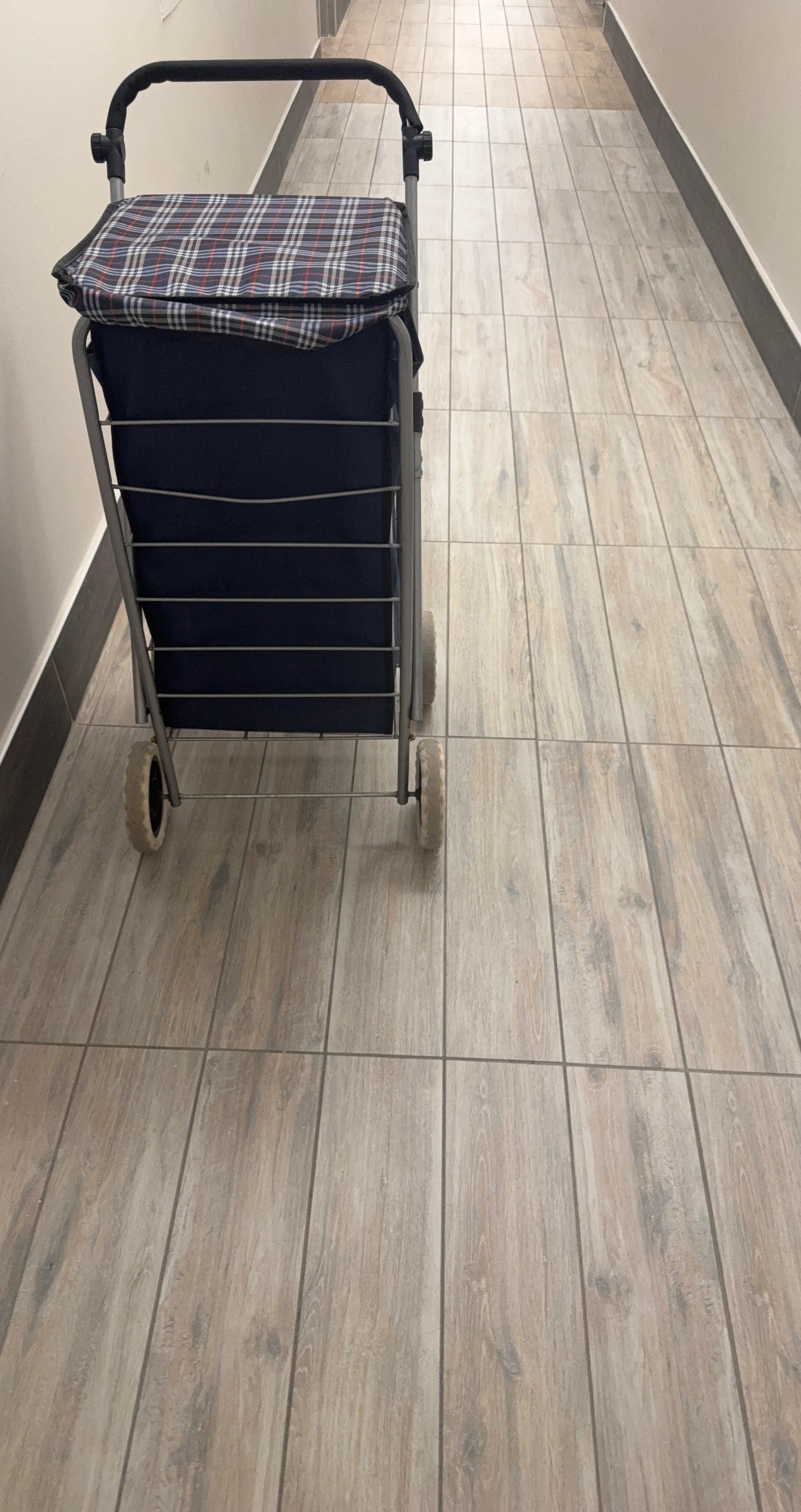 Shopping Cart with Plaid Bag
