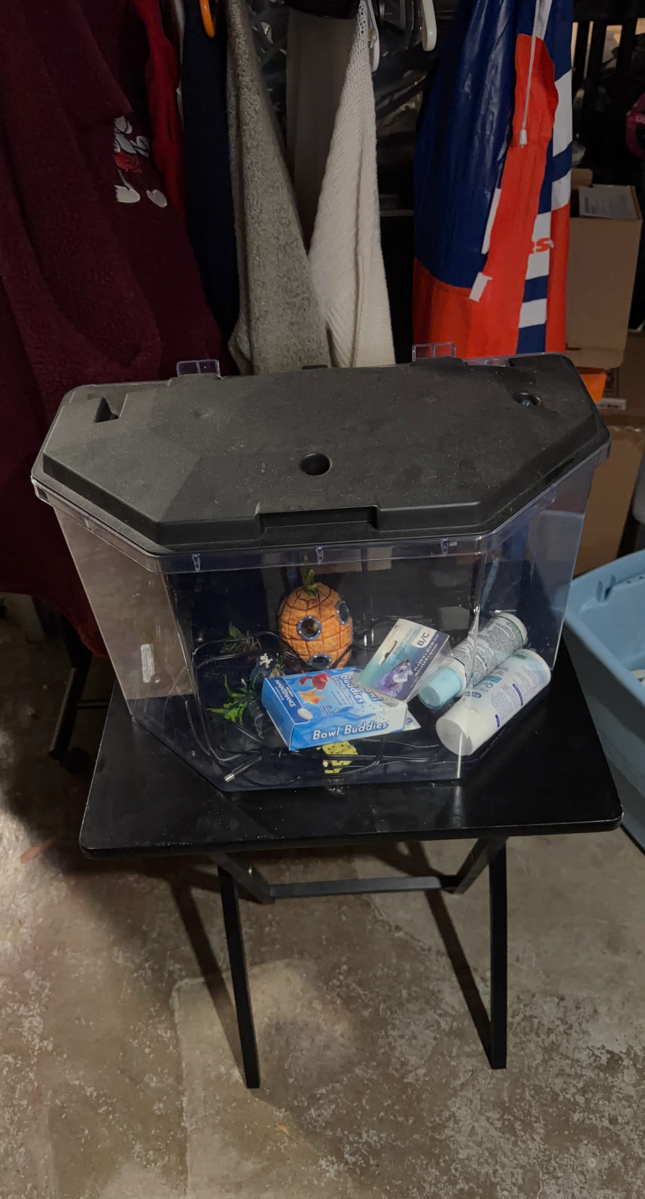 Fish Tank with Accessories