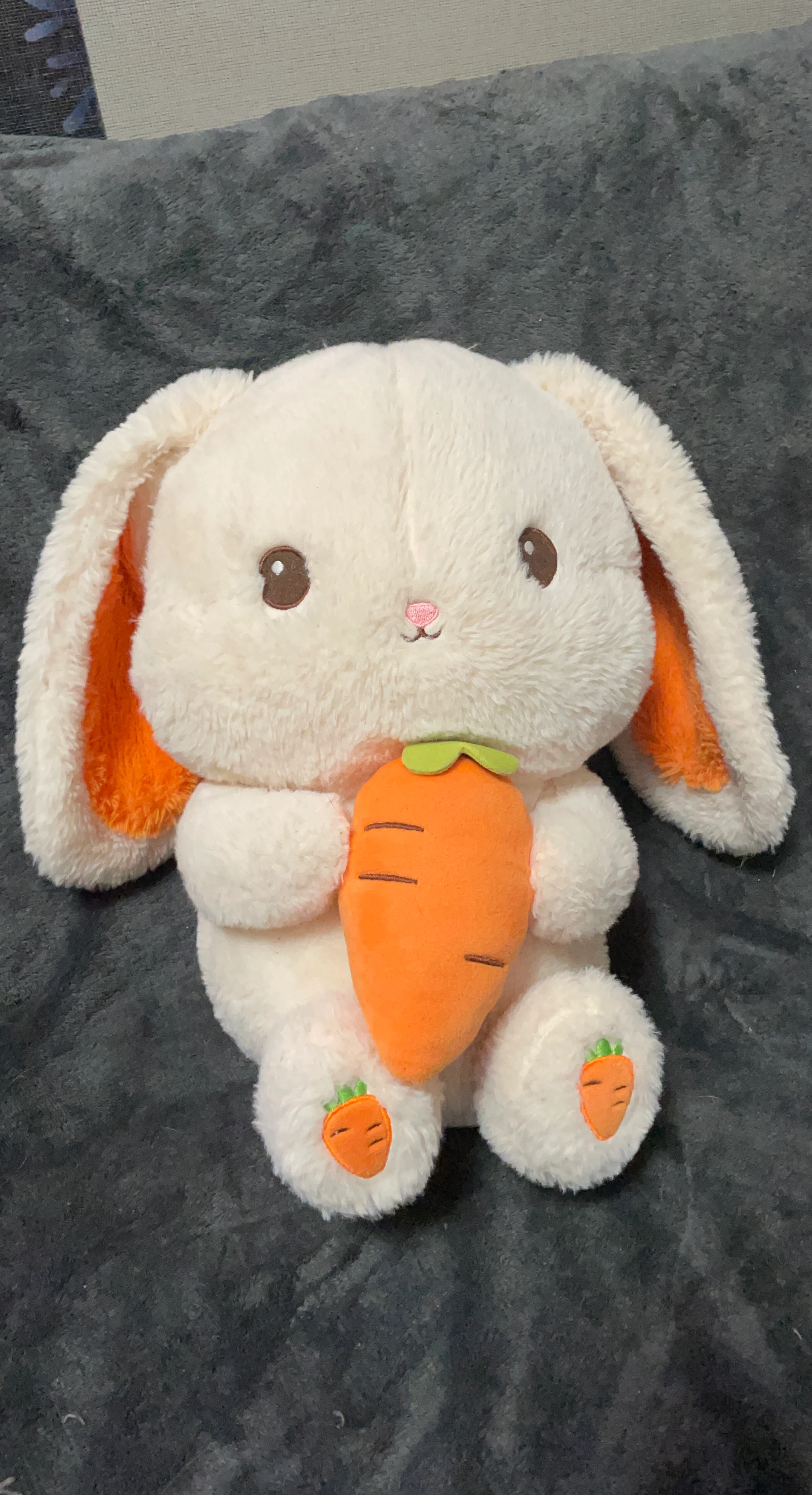 Plush Bunny with Carrot Toy ⚽