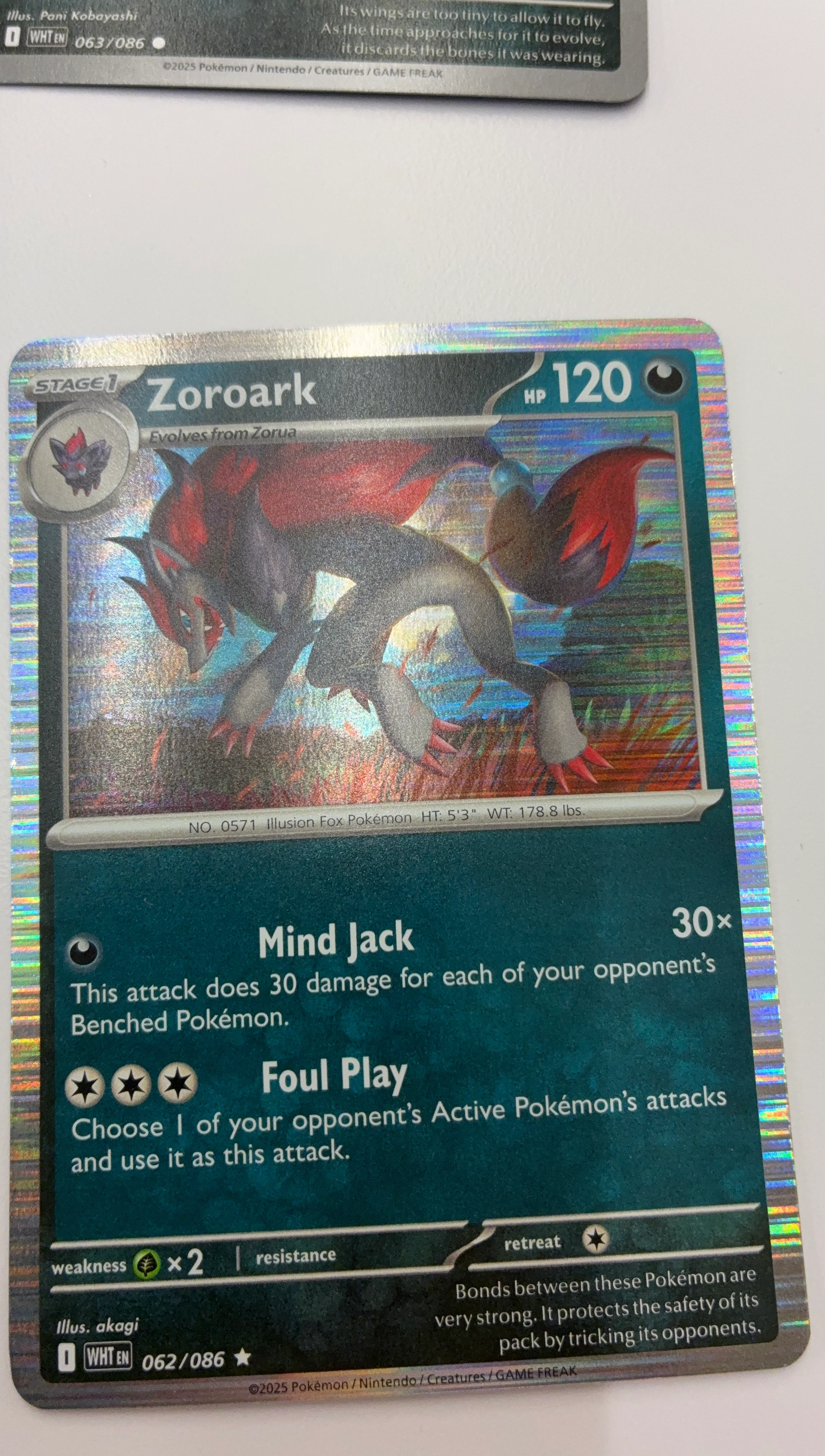 Pokemon Zoroark Stage 1 Trading Card