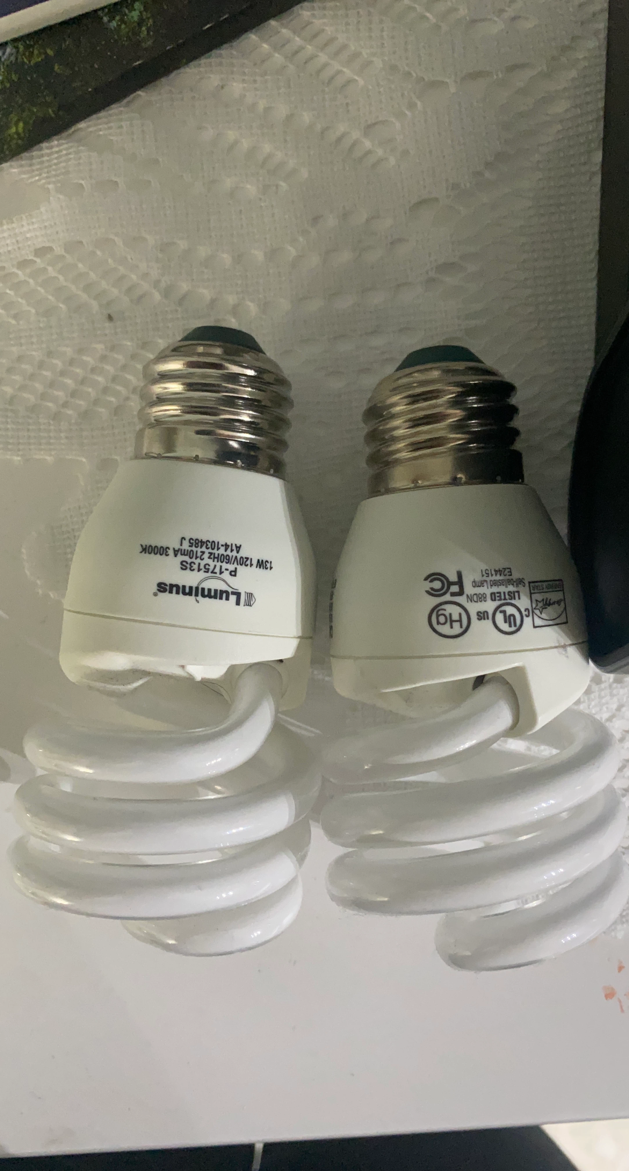 Luminus 13W Self-Ballasted CFL Light Bulb