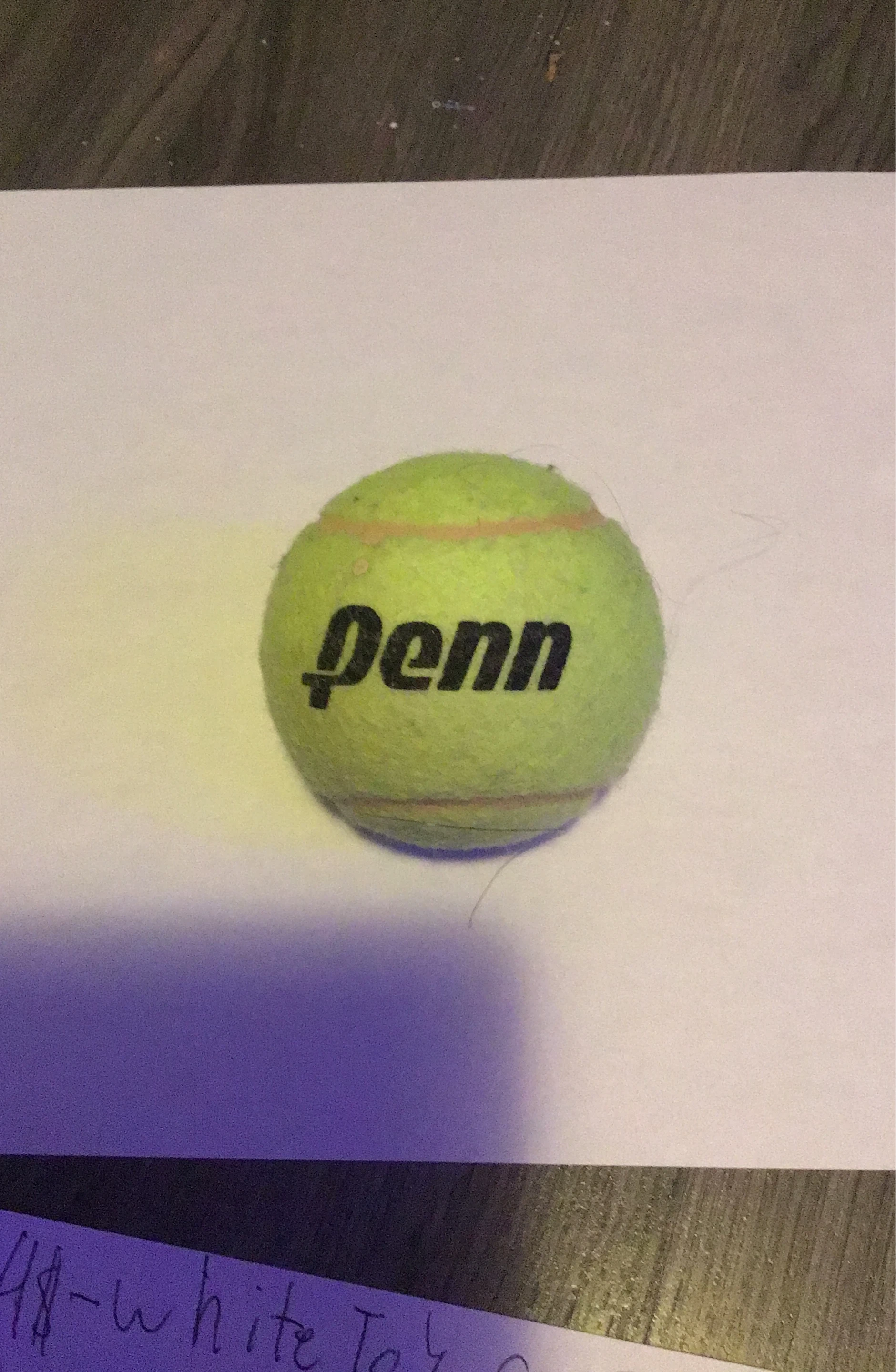 Penn Tennis Ball