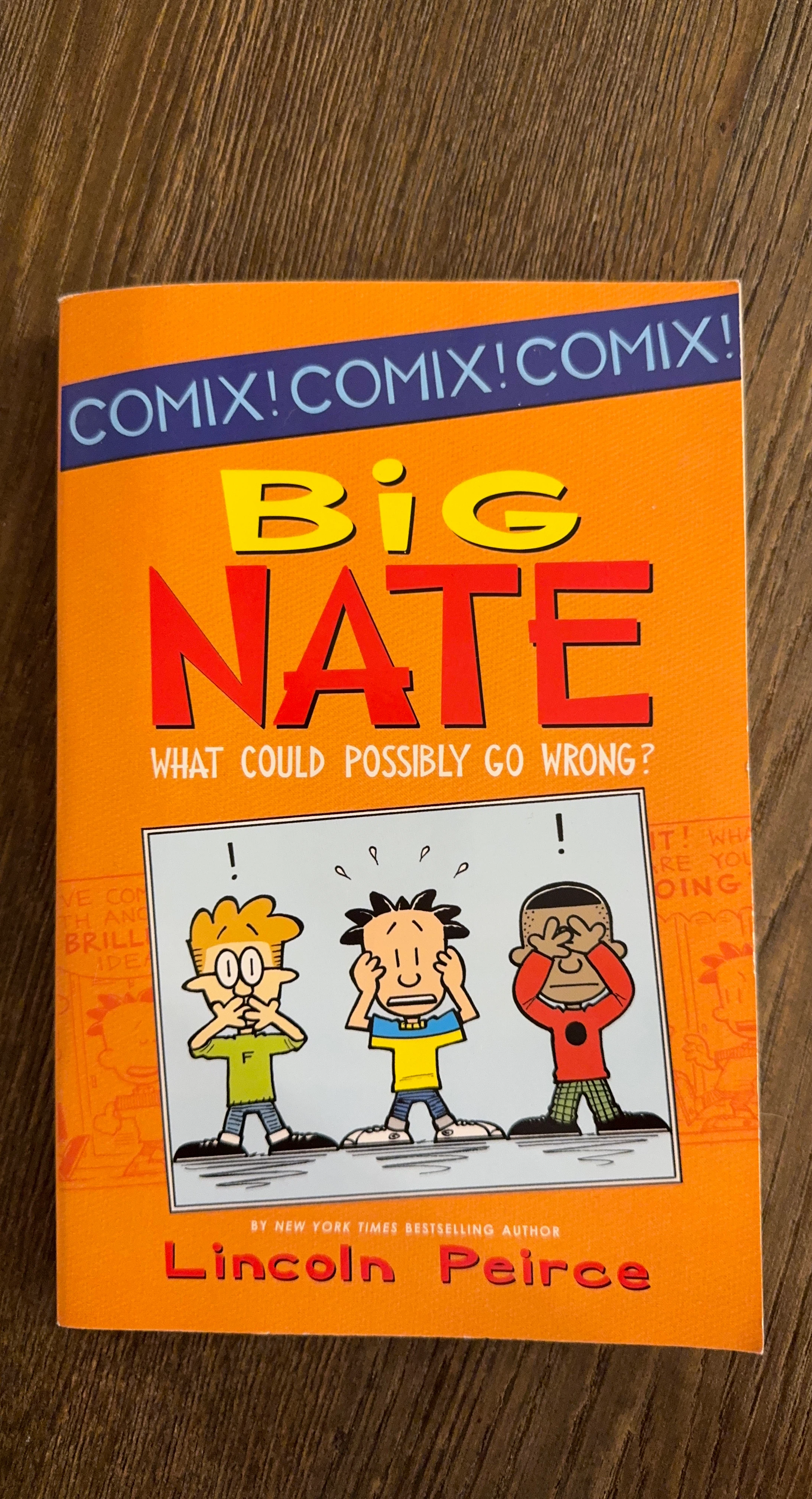 Big Nate: What Could Possibly Go Wrong? Book by Lincoln Peirce