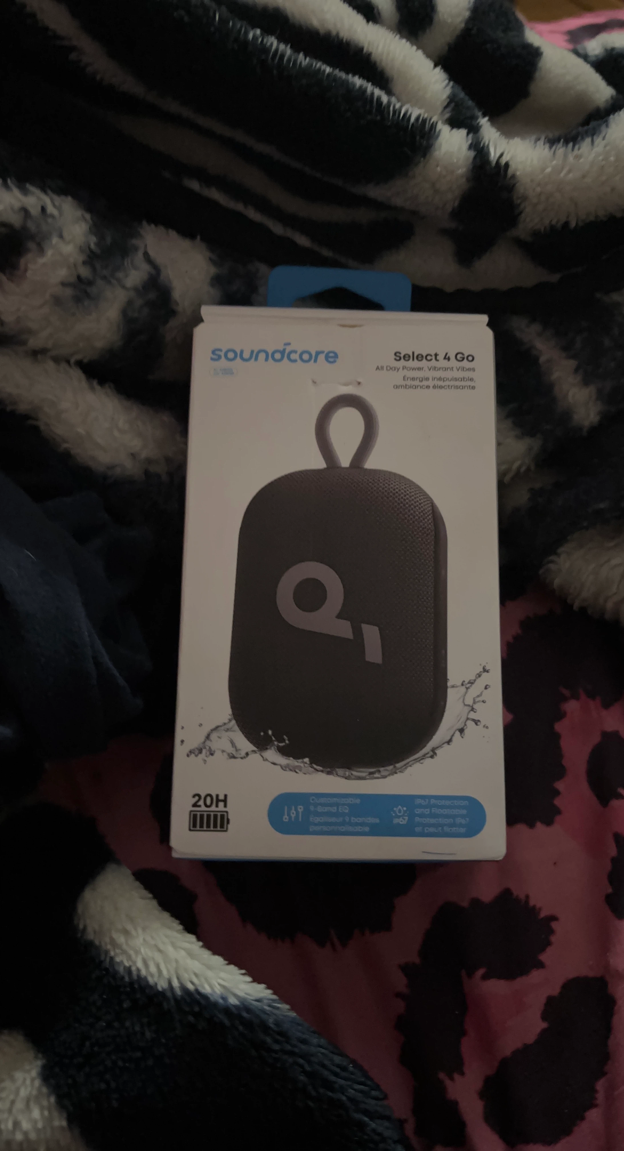 Soundcore Select 4 Go Portable Bluetooth Speaker