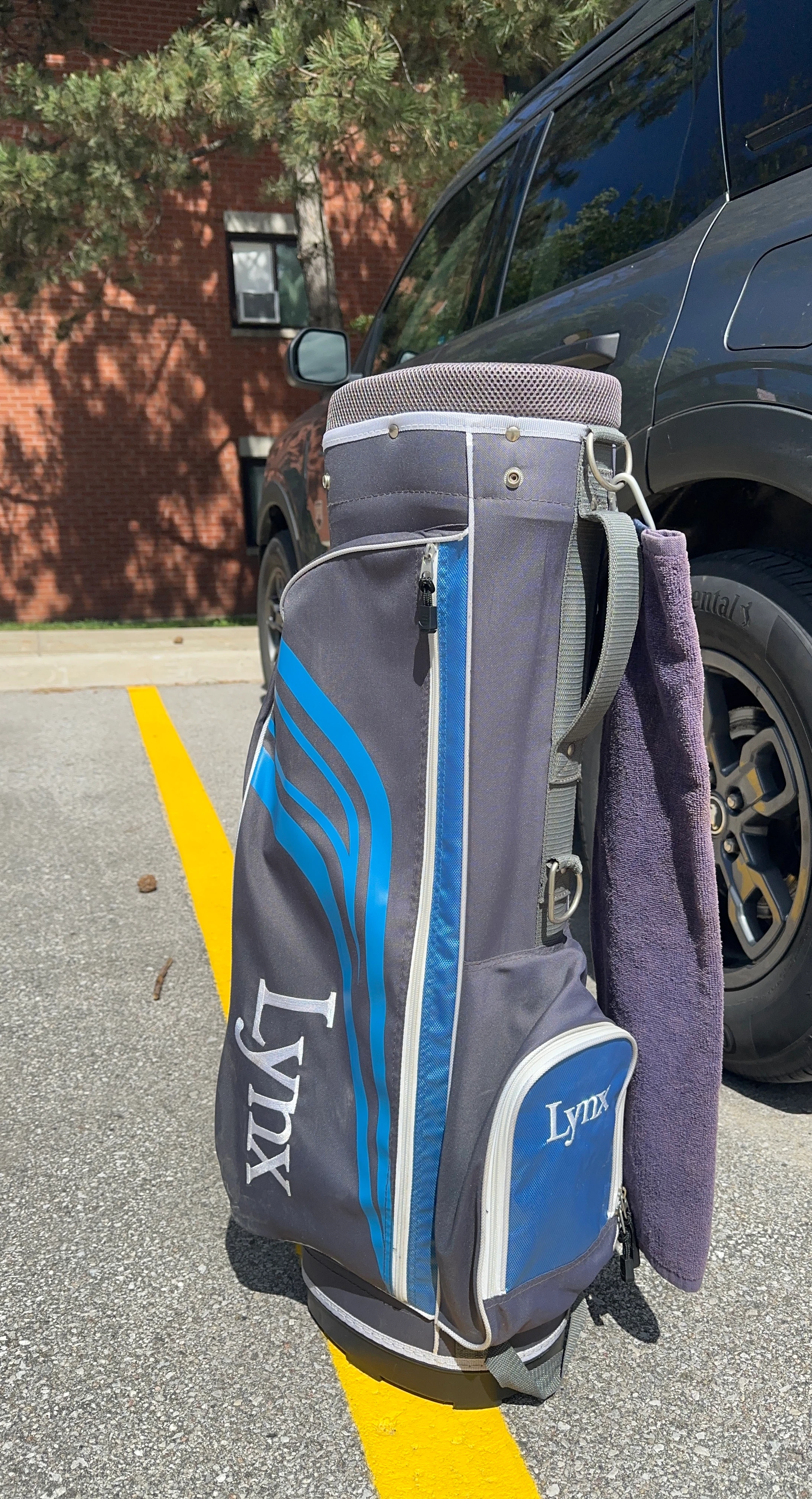 Lynx Golf Bag