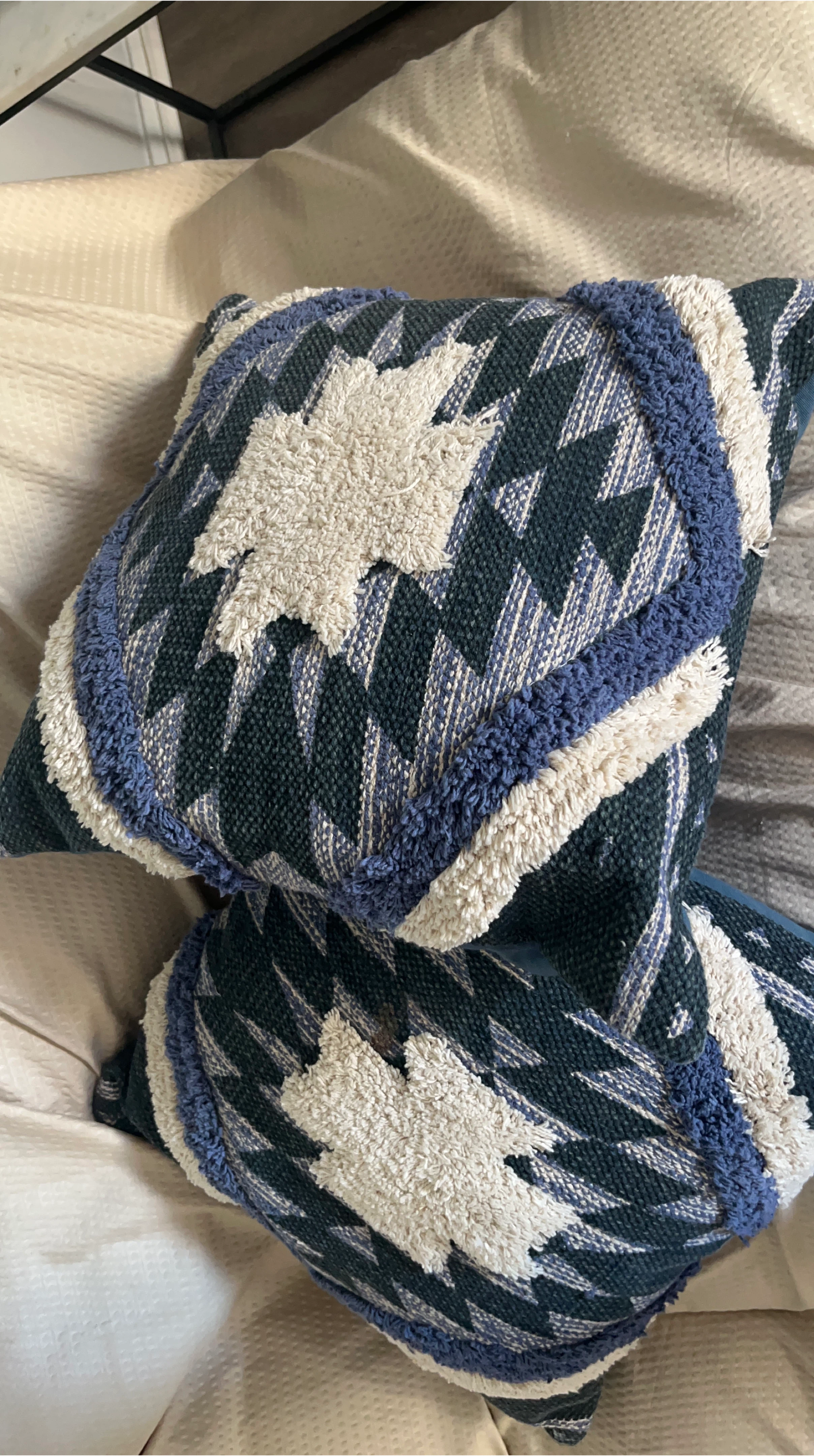 Two Decorative Throw Pillow