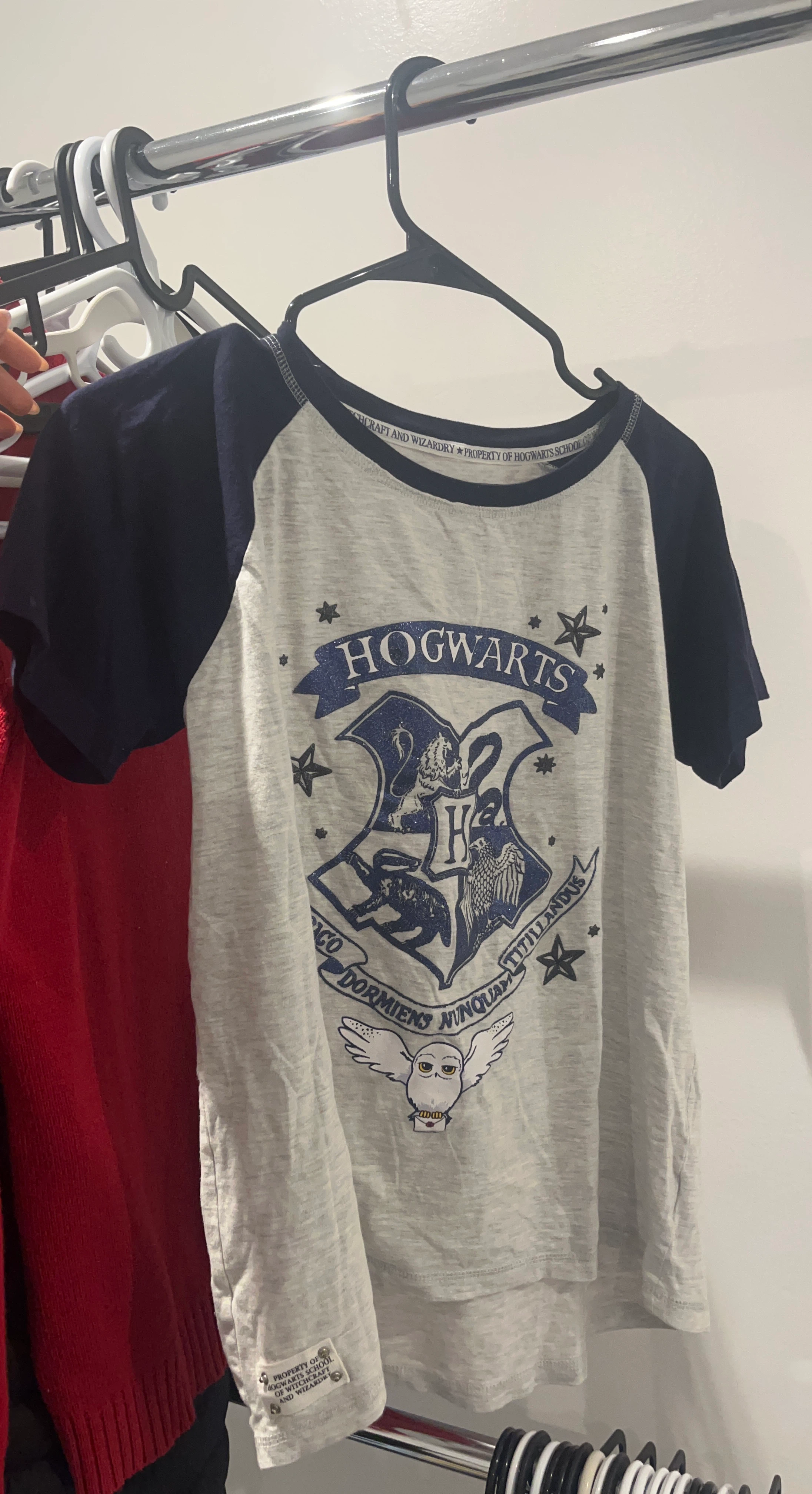 Hogwarts Crest Raglan T-Shirt