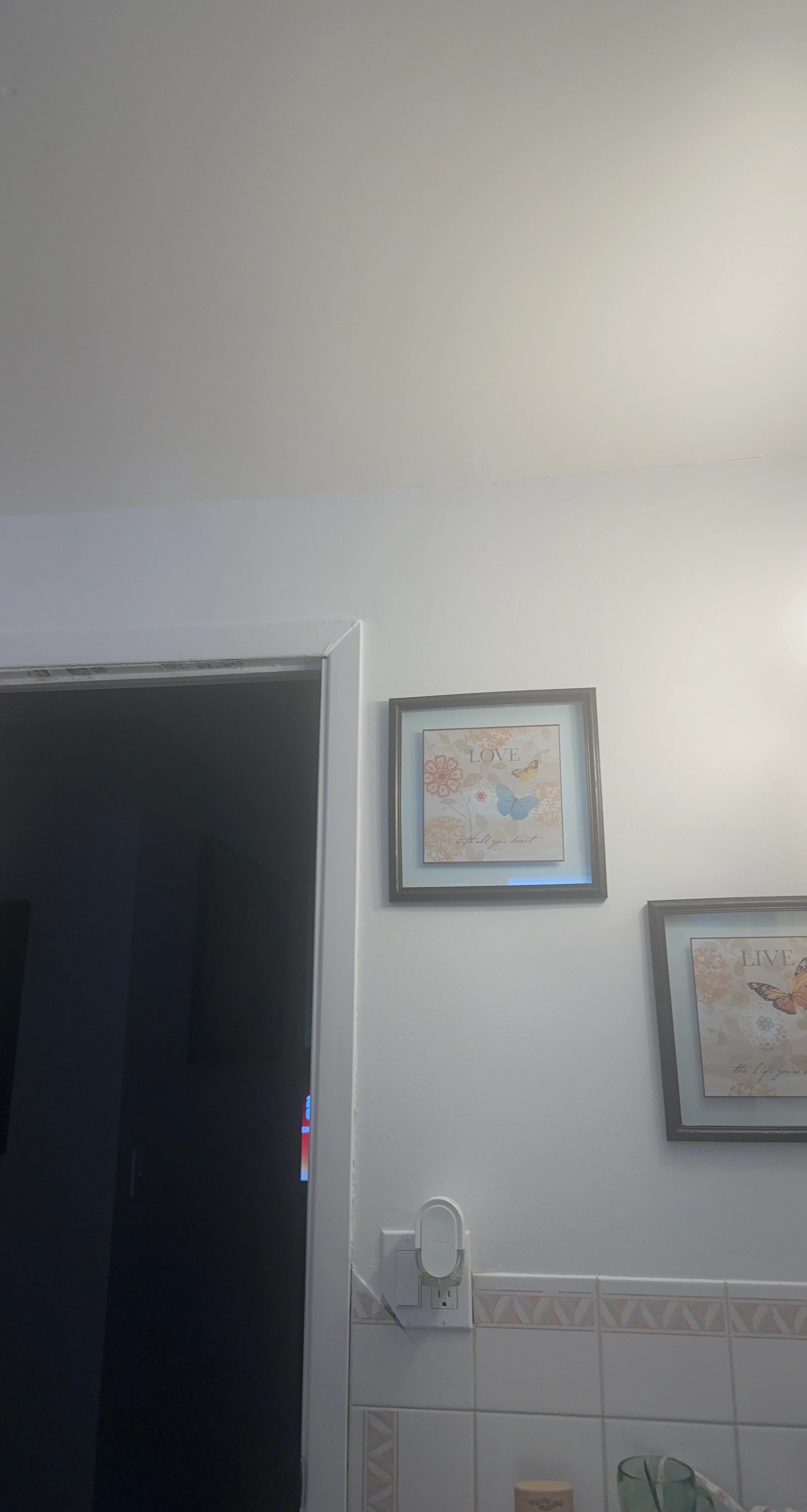 Framed Wall Art with Butterflies and Flowers