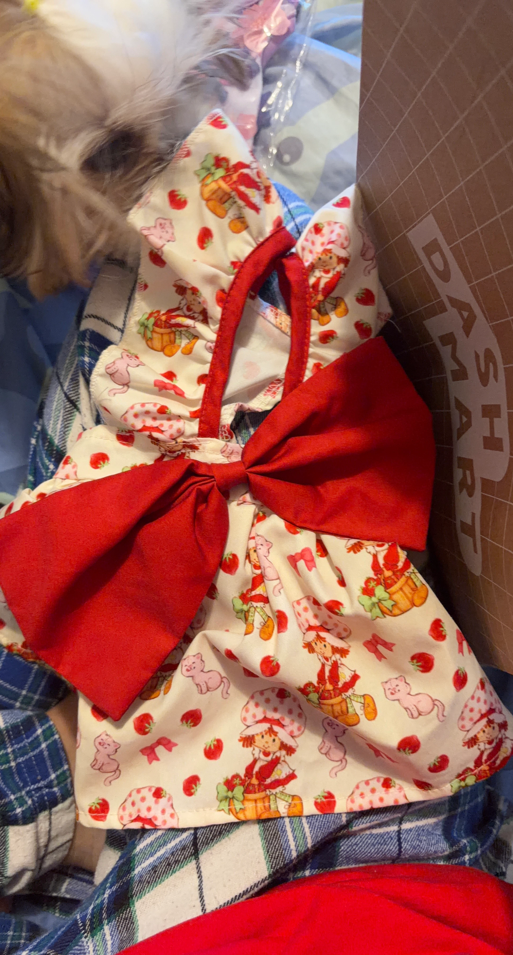 Strawberry Shortcake Dress