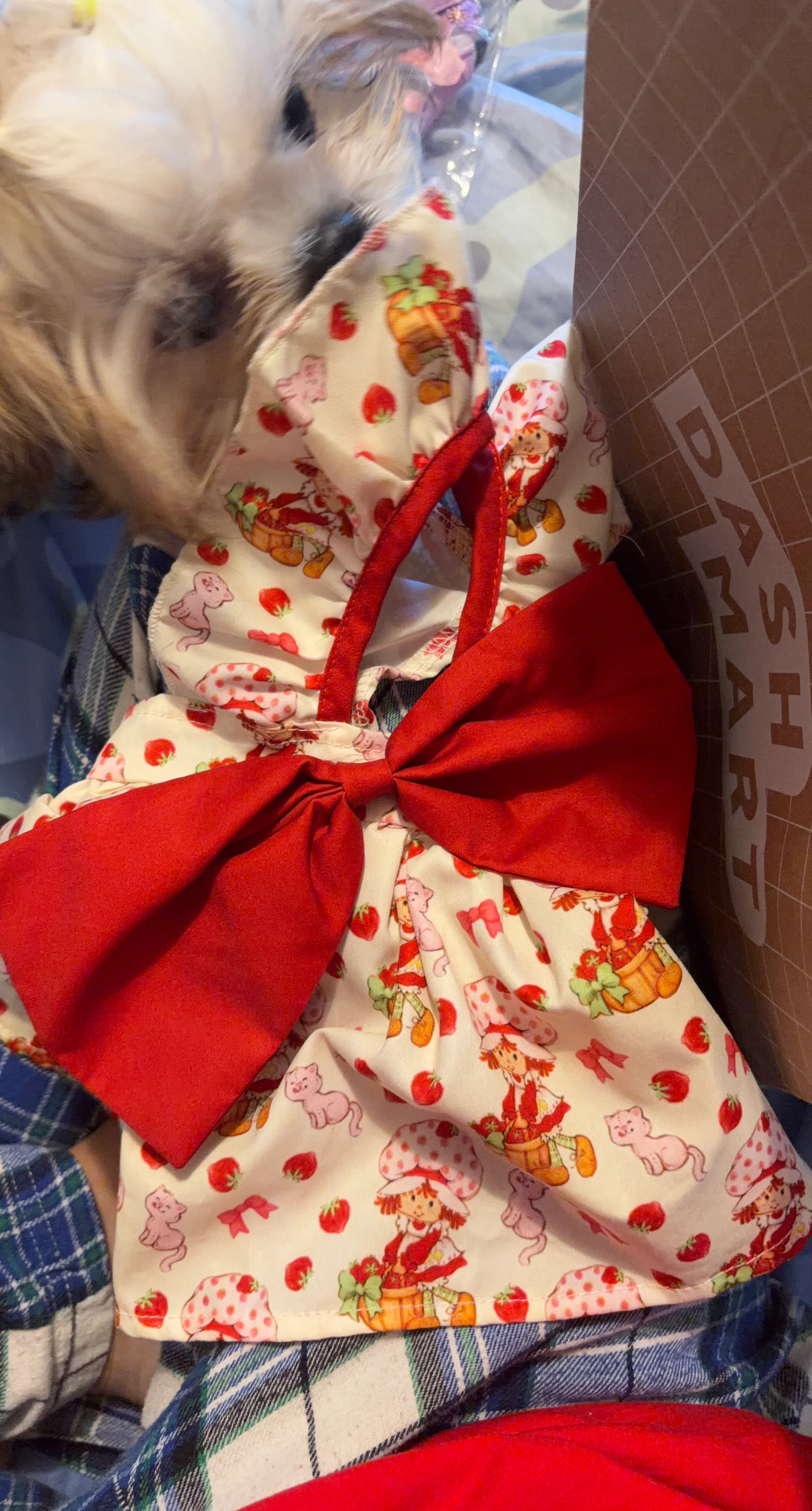 Strawberry Shortcake Pet Dress