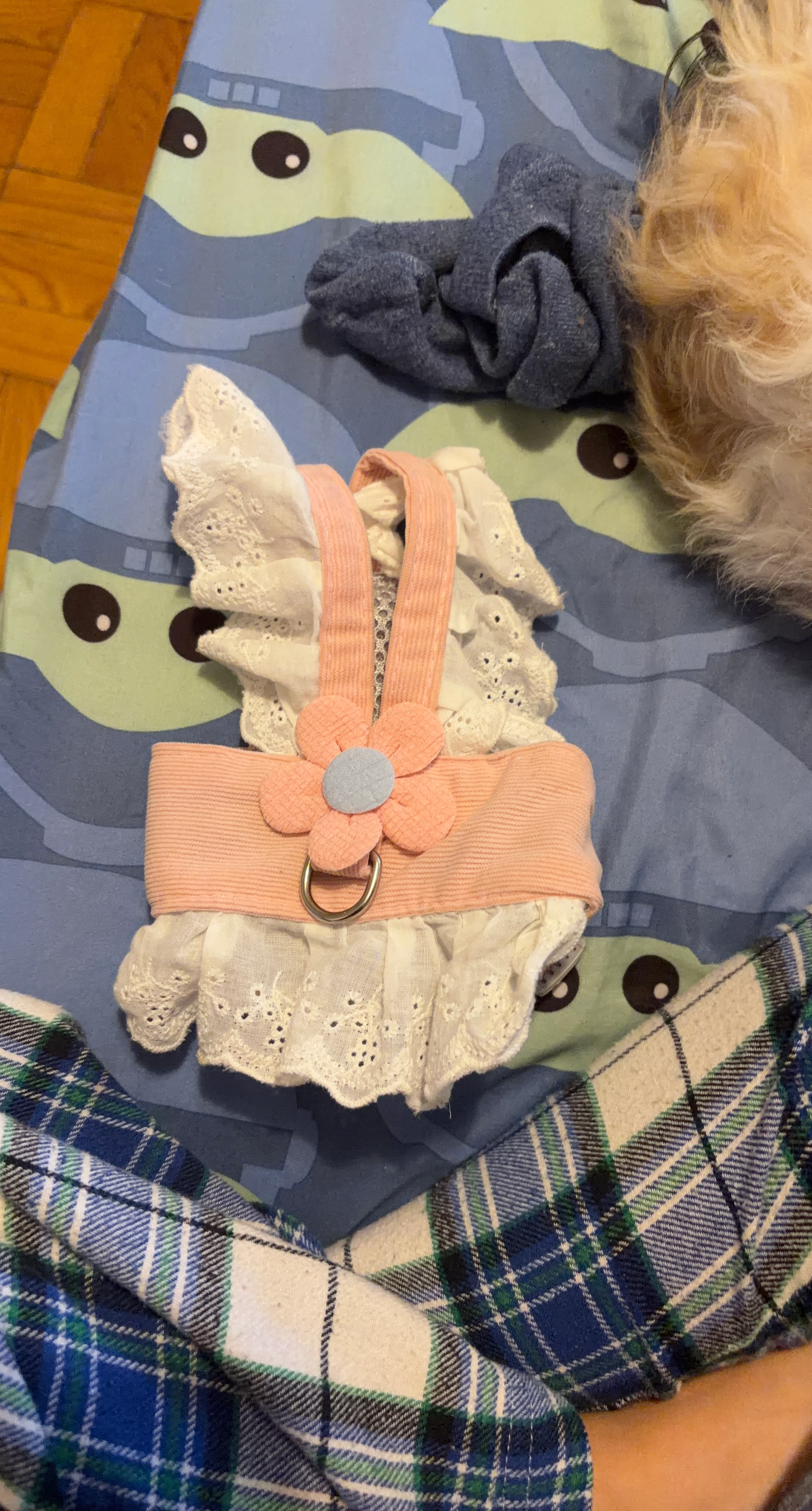 Pink floral pet harness with white lace trim
