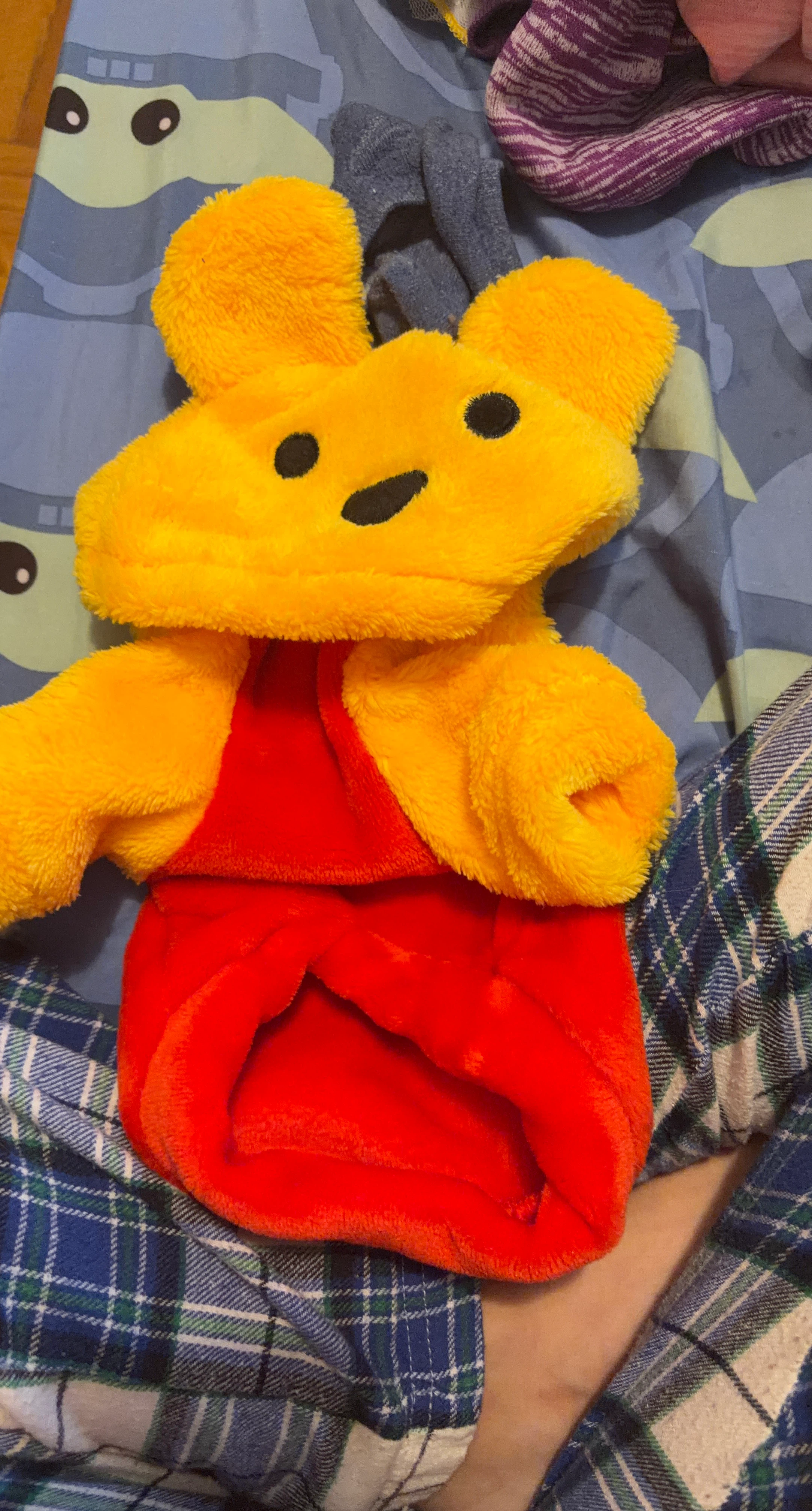 Yellow Bear Hoodie for Toddlers