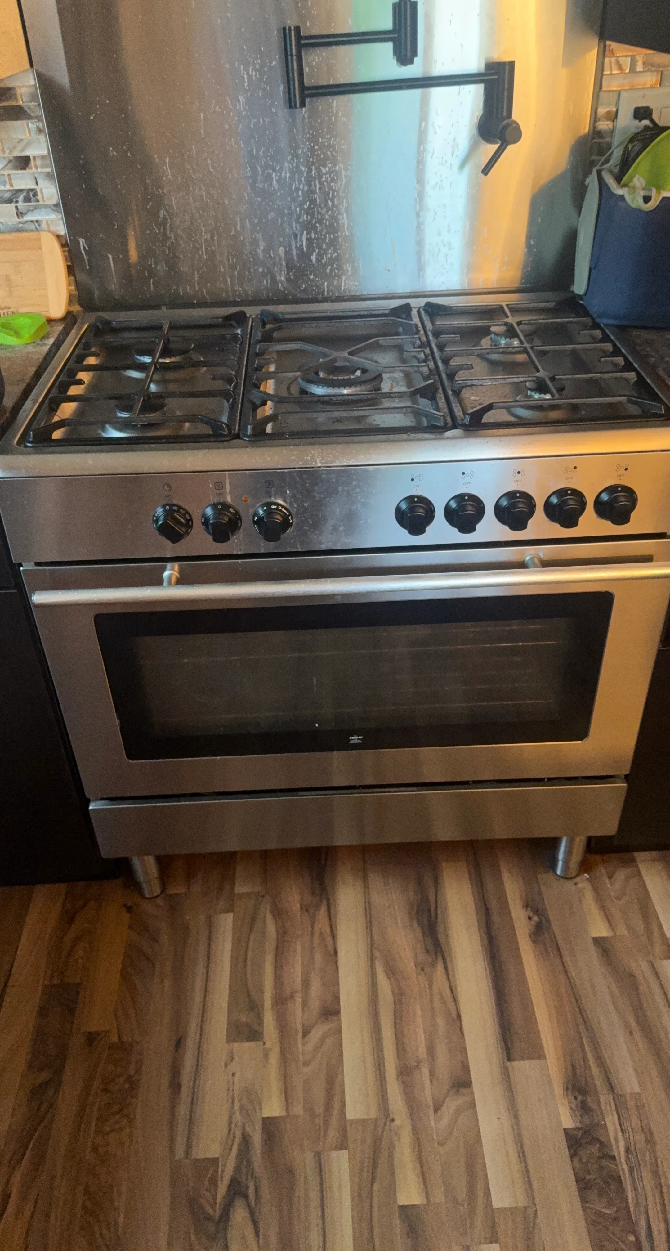 Stainless Steel Gas Range
