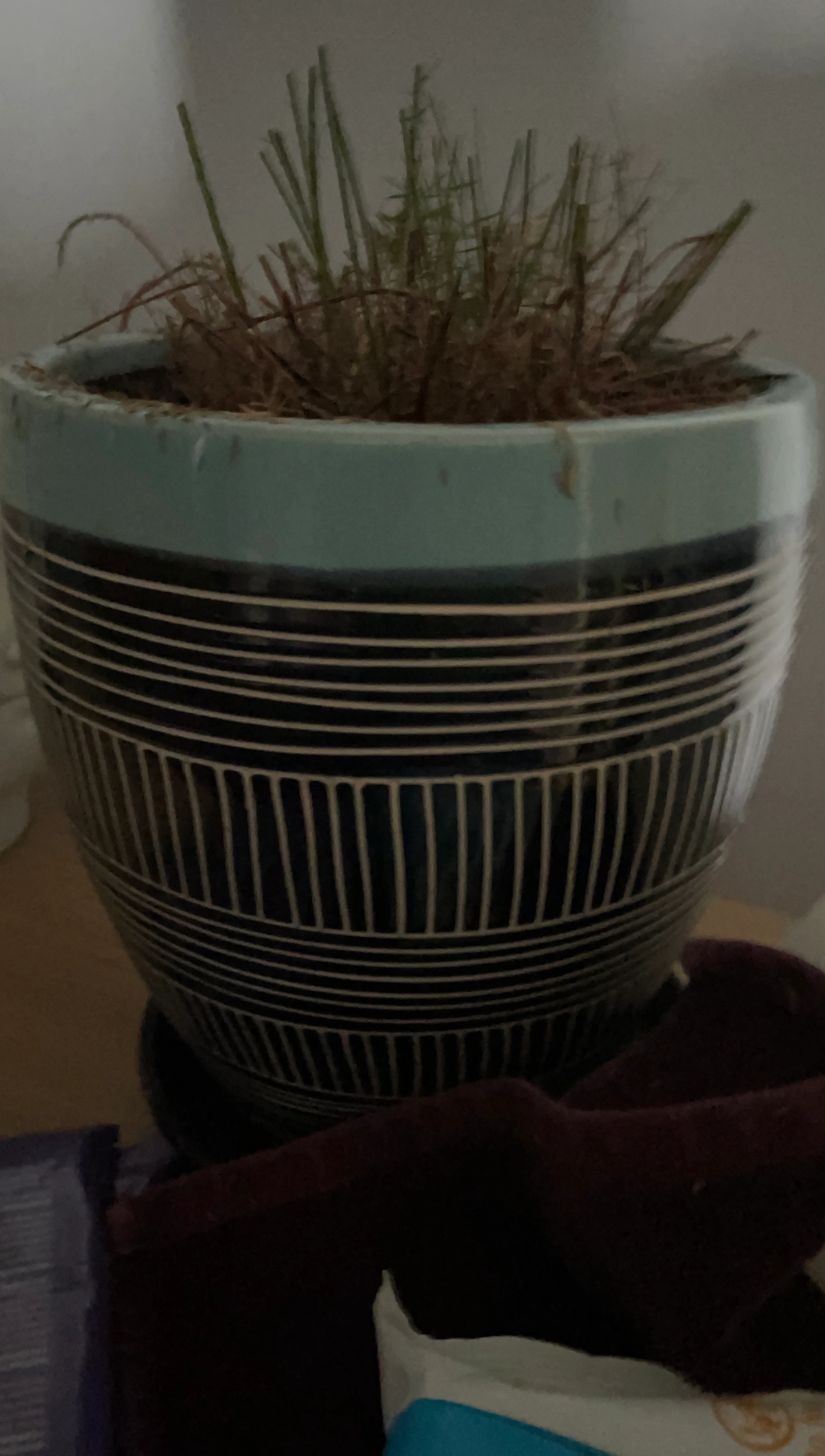 Decorative Ceramic Planter with Saucer