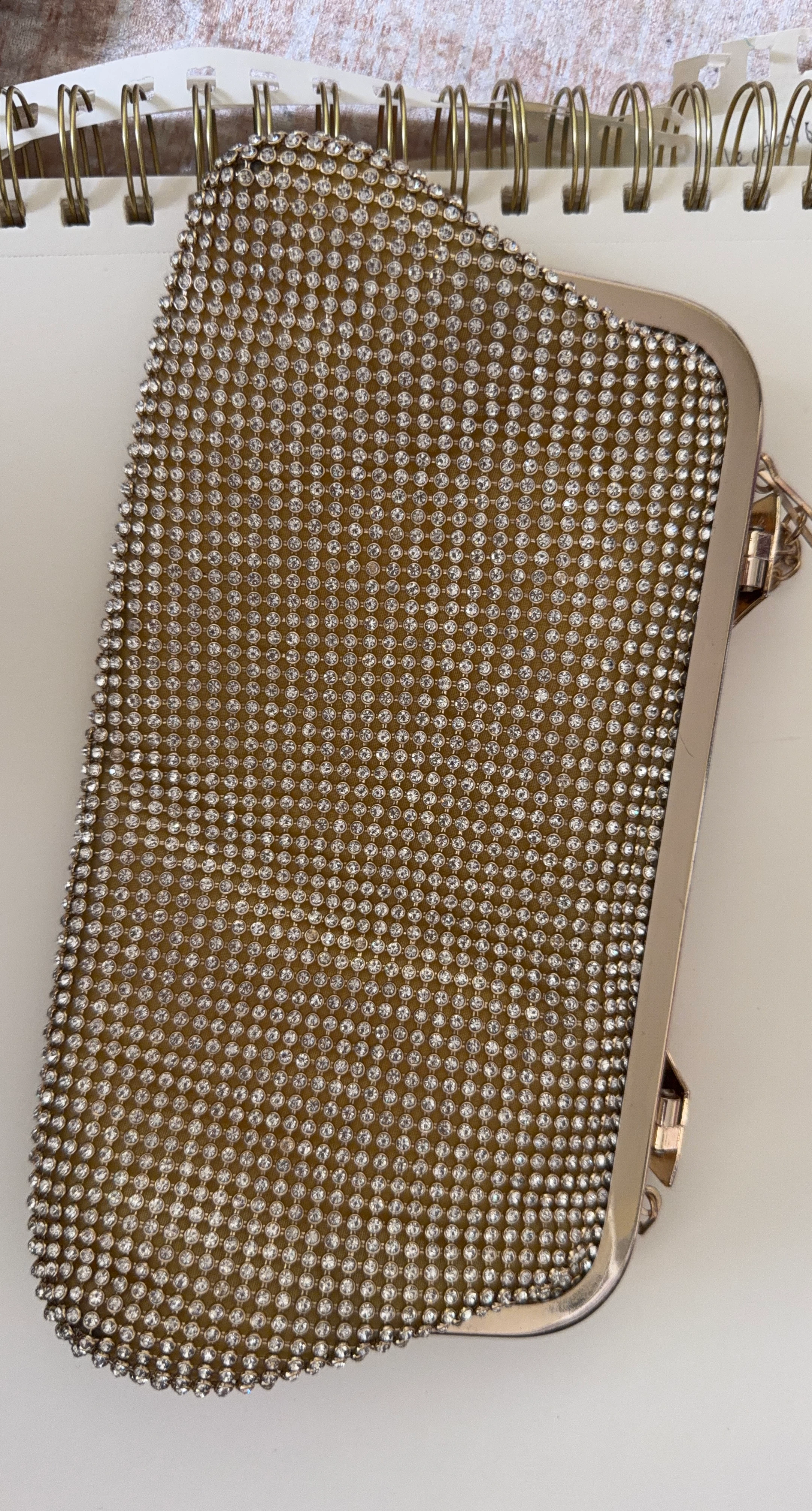 Sparkly Clutch Purse