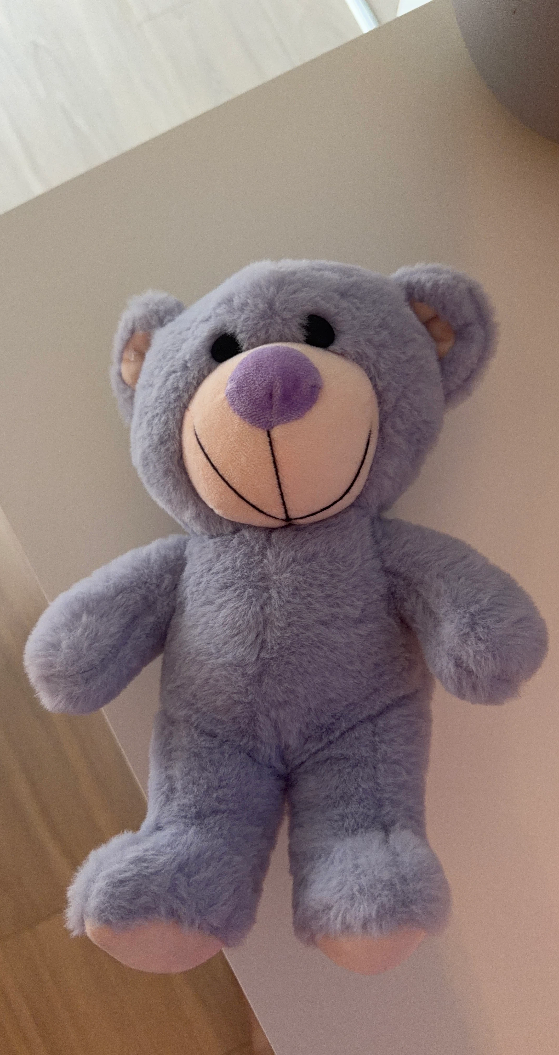 Purple Teddy Bear Plush Toy