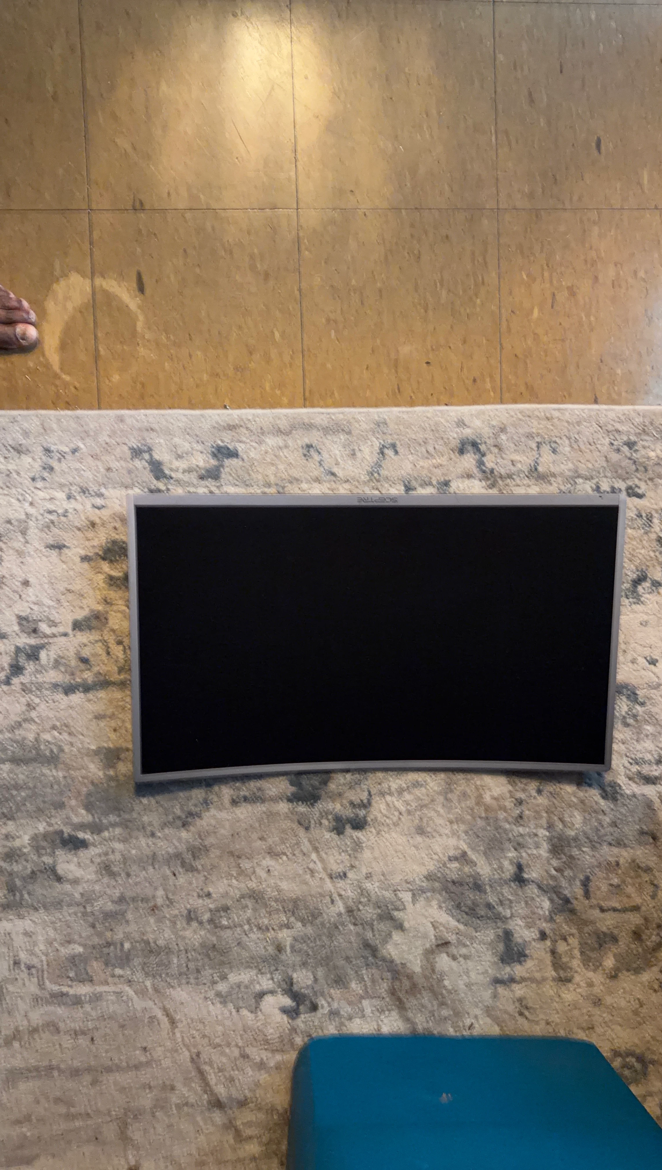 32”SCEPTRE Monitor