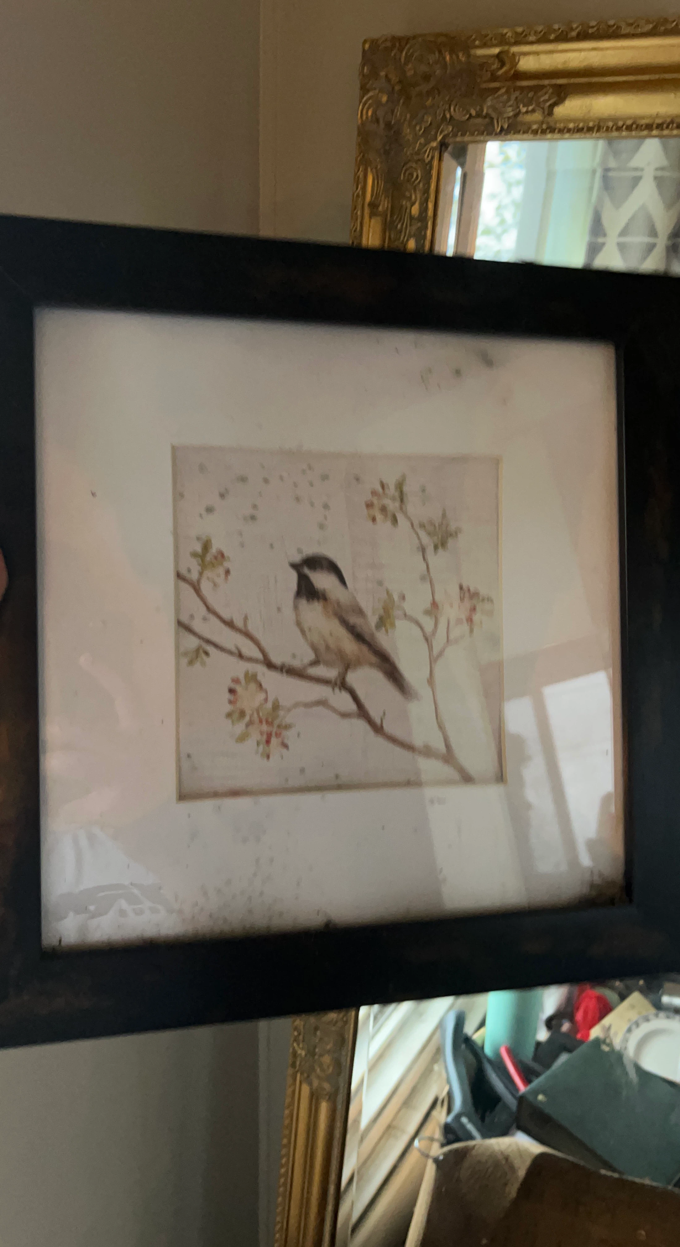 Framed Bird Art Print
