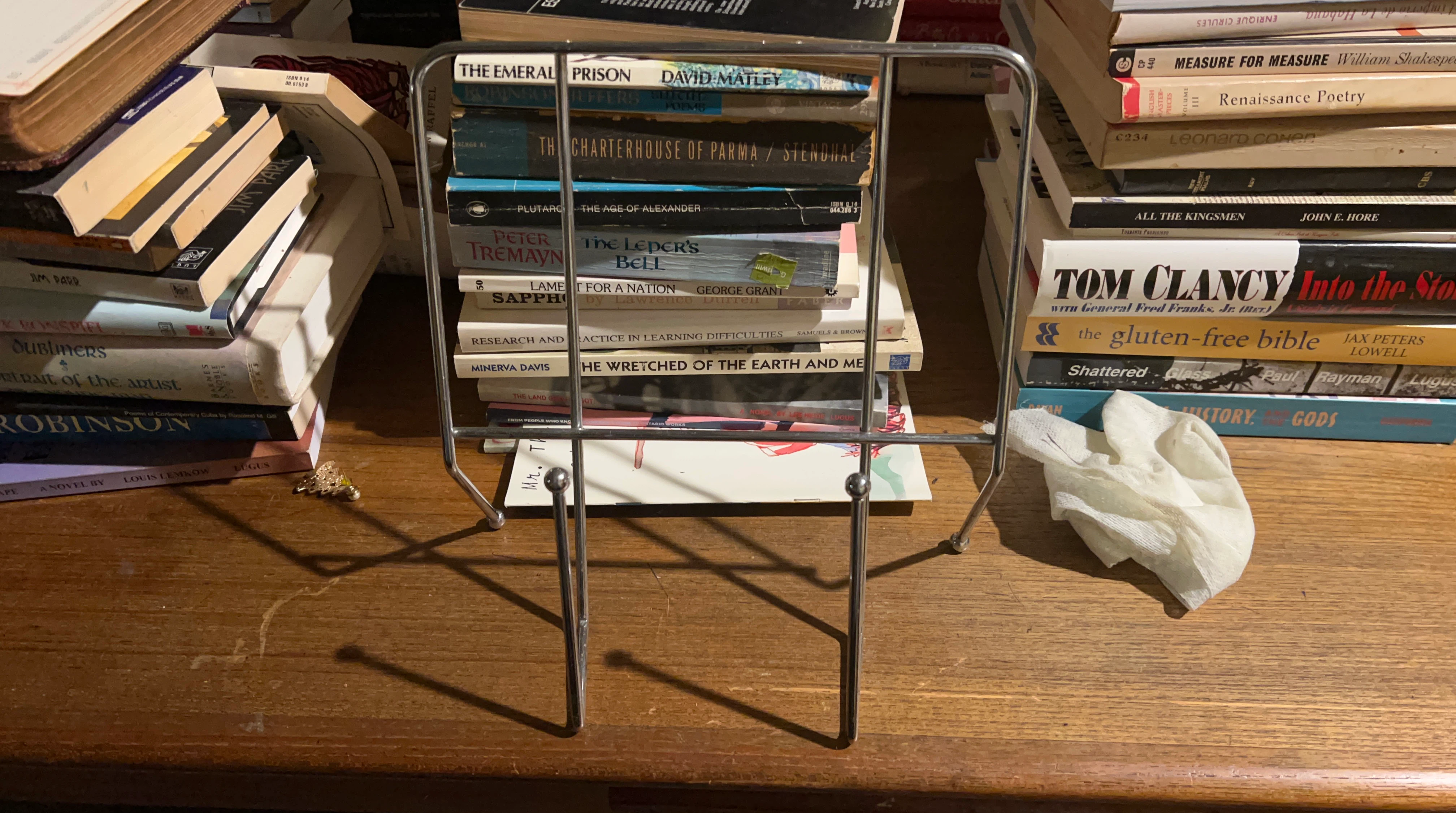 Book Standx2 - photo 2