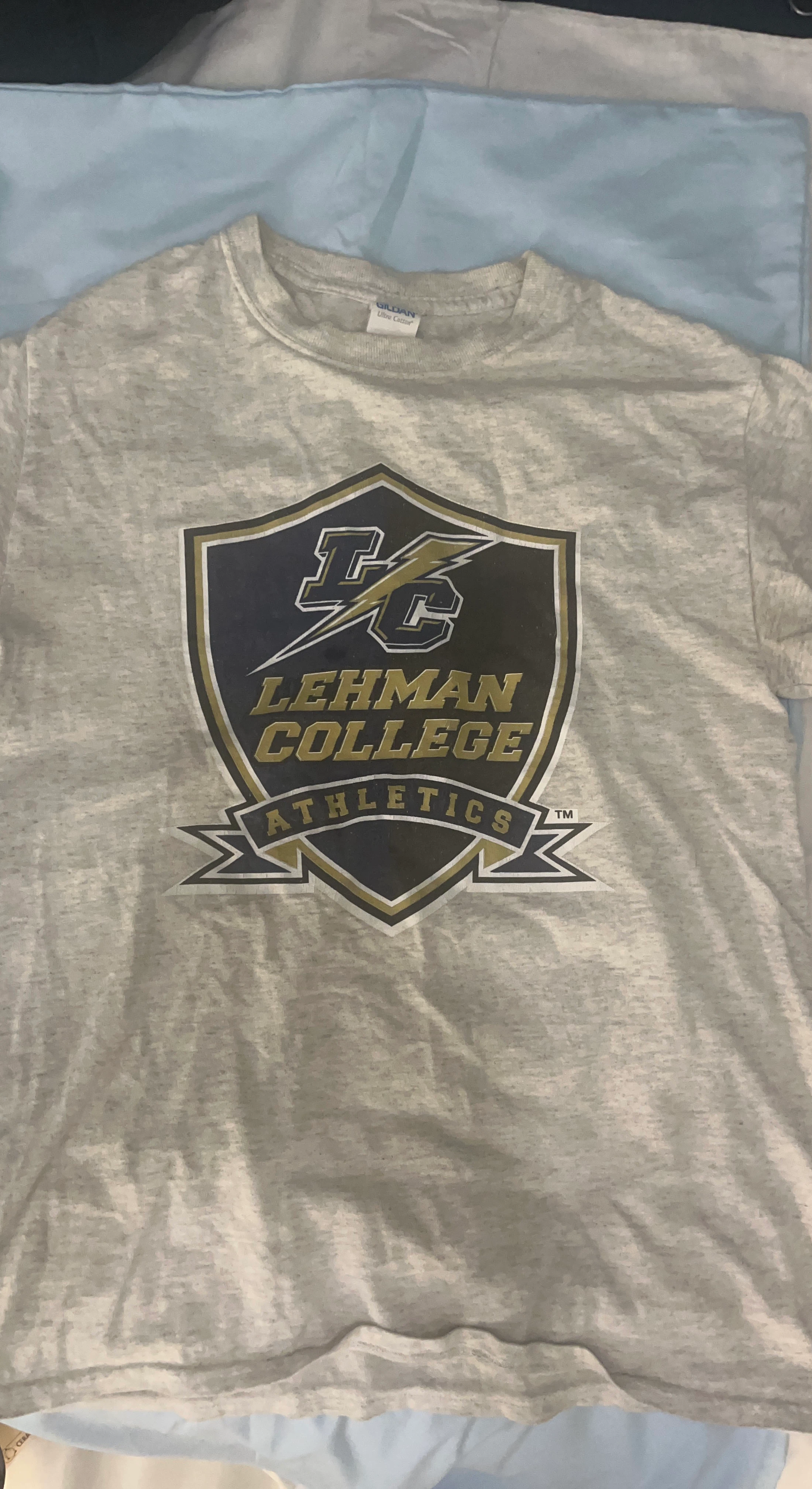 Gildan Lehman College Athletics T-Shirt