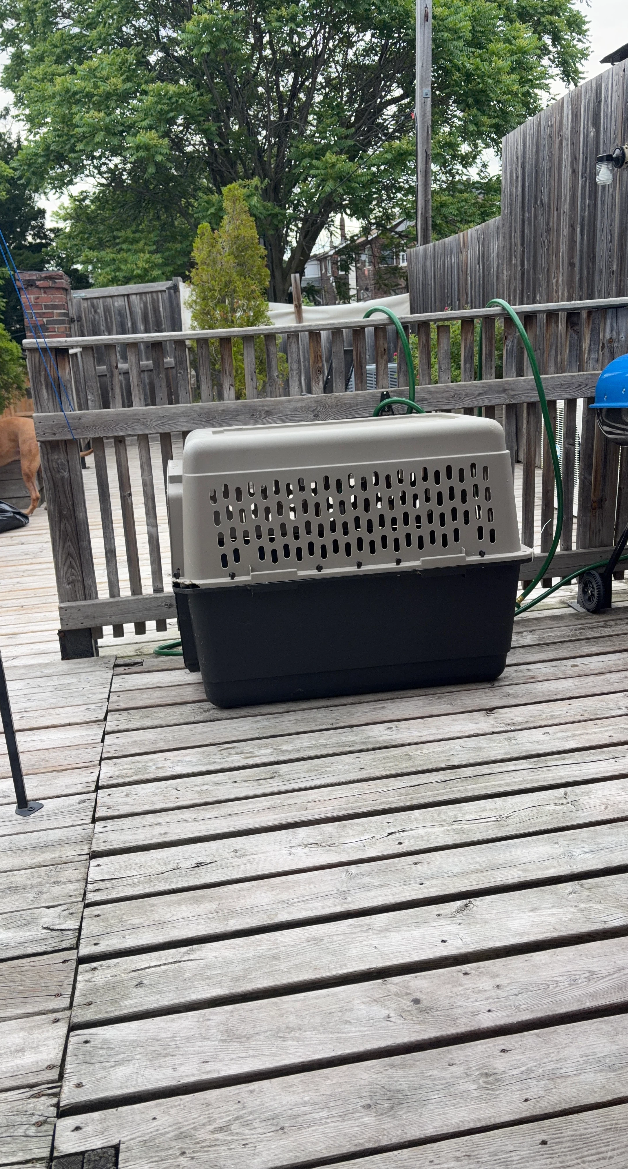 Dog Crate Carrier XL
