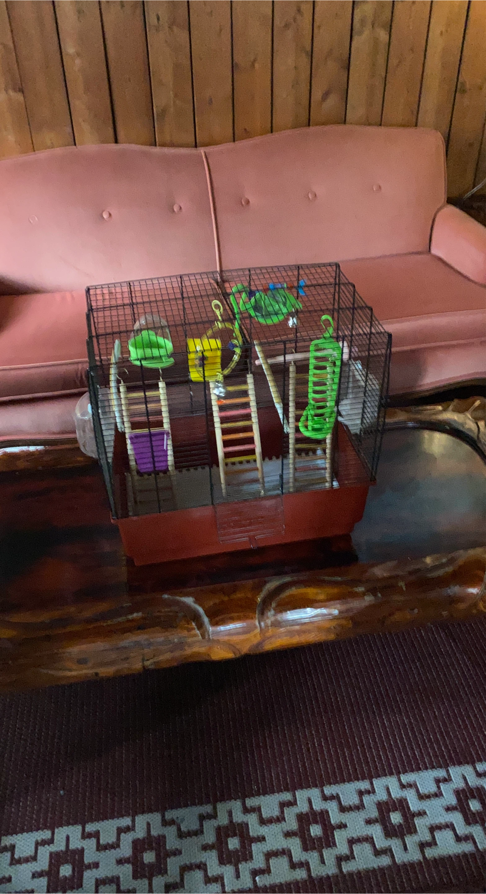 Small Pet Habitat Cage with Accessories