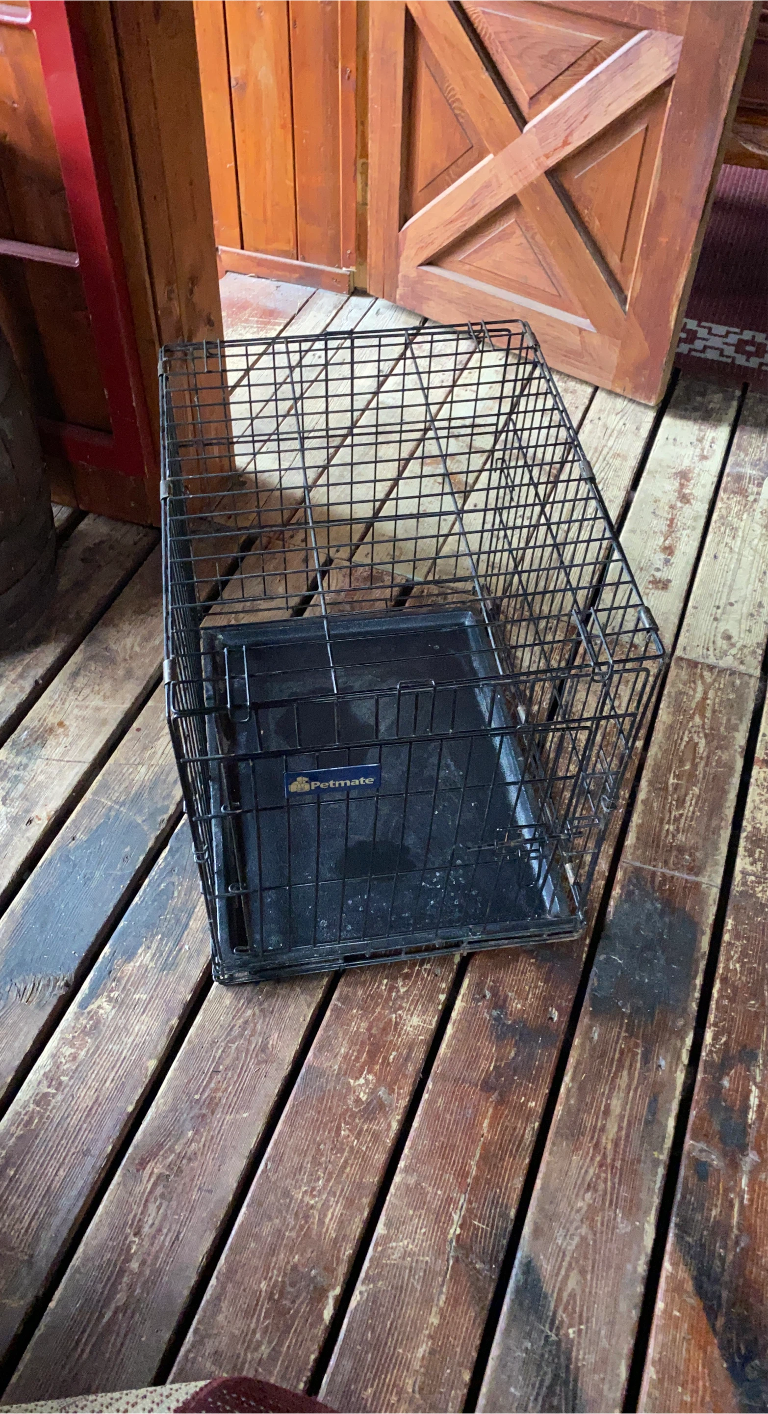 Petmate Dog Crate with Tray