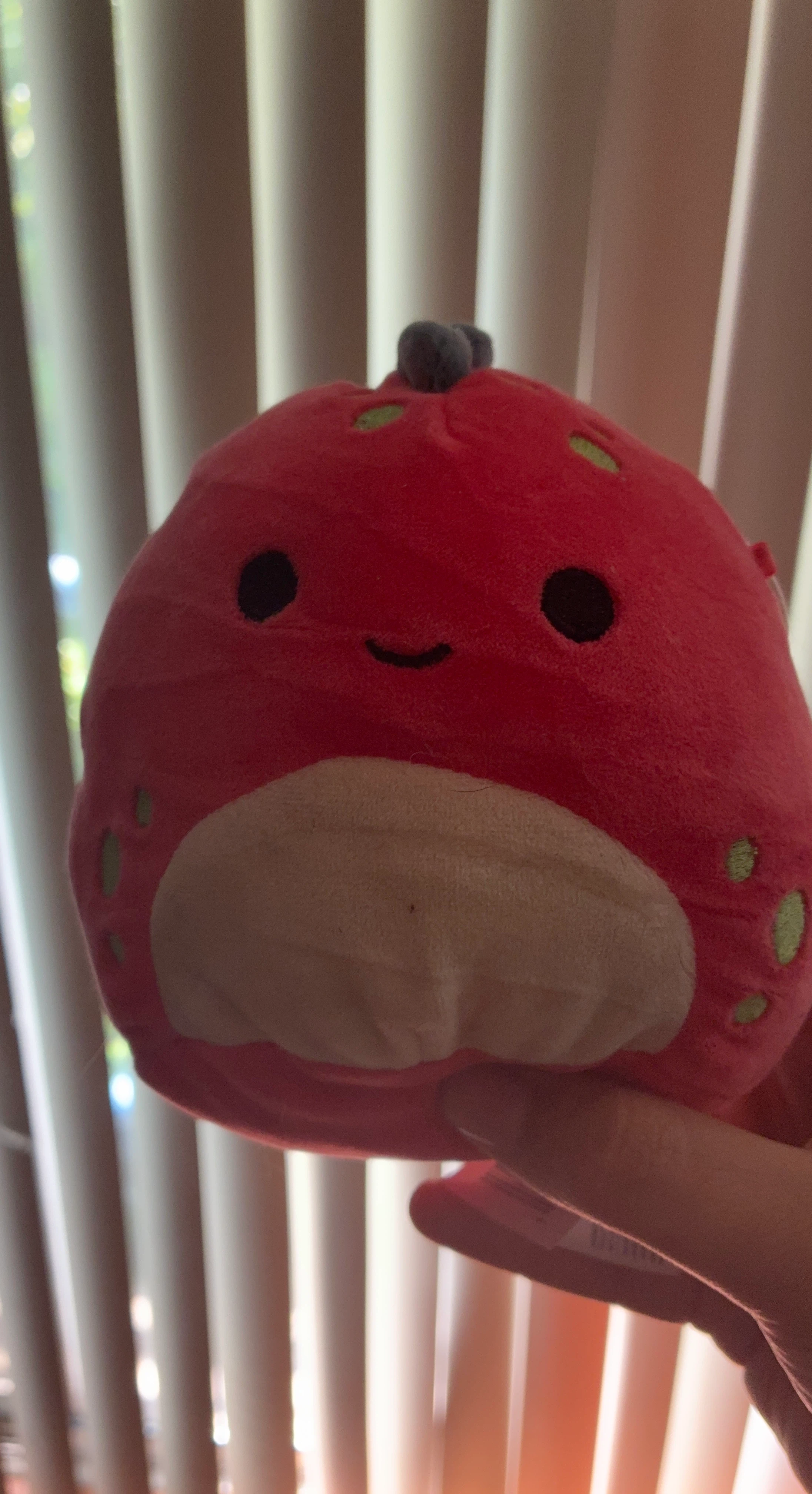 Red Strawberry Squishmallow Plush Toy