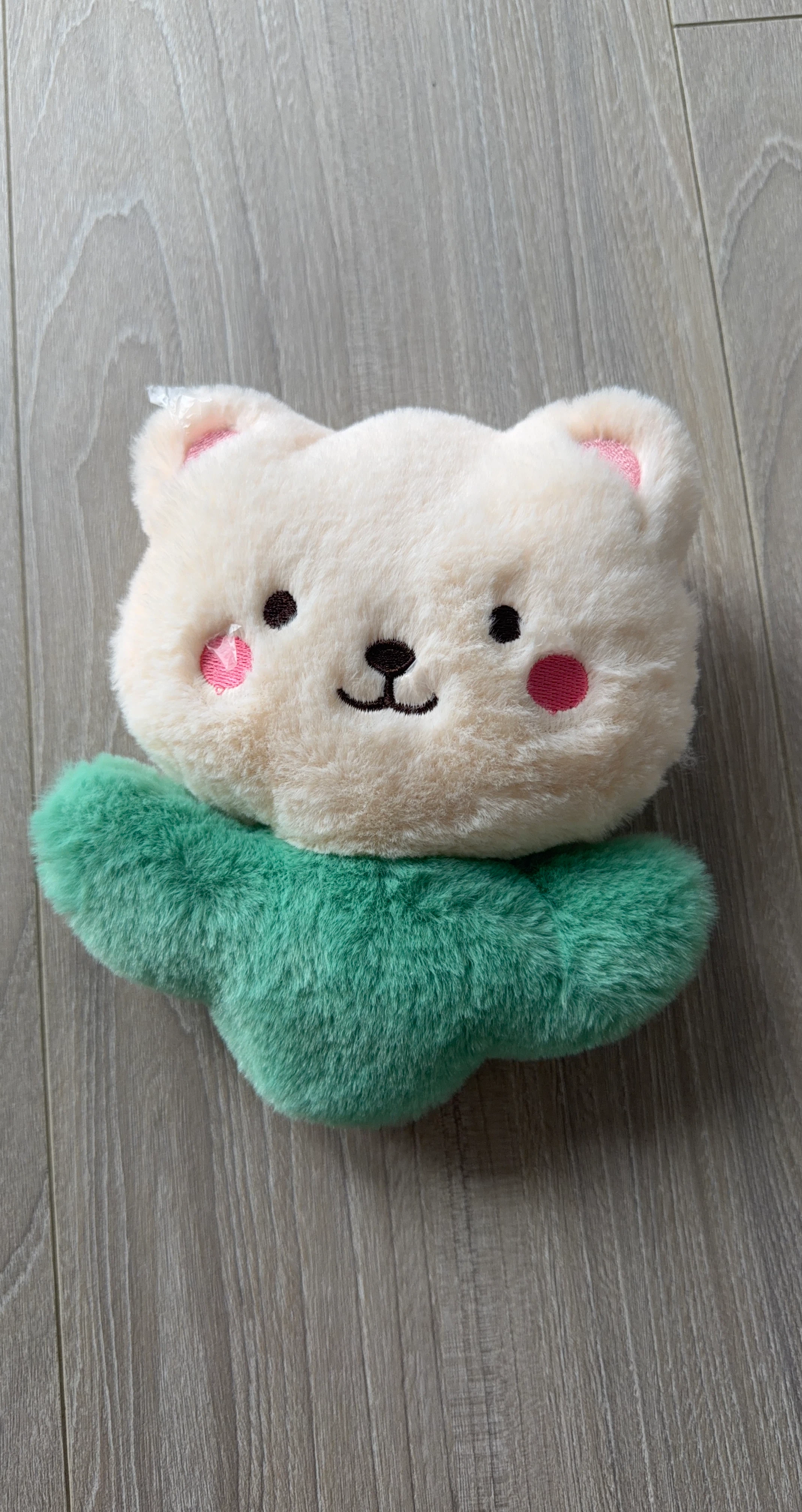 Plush Bear Toy