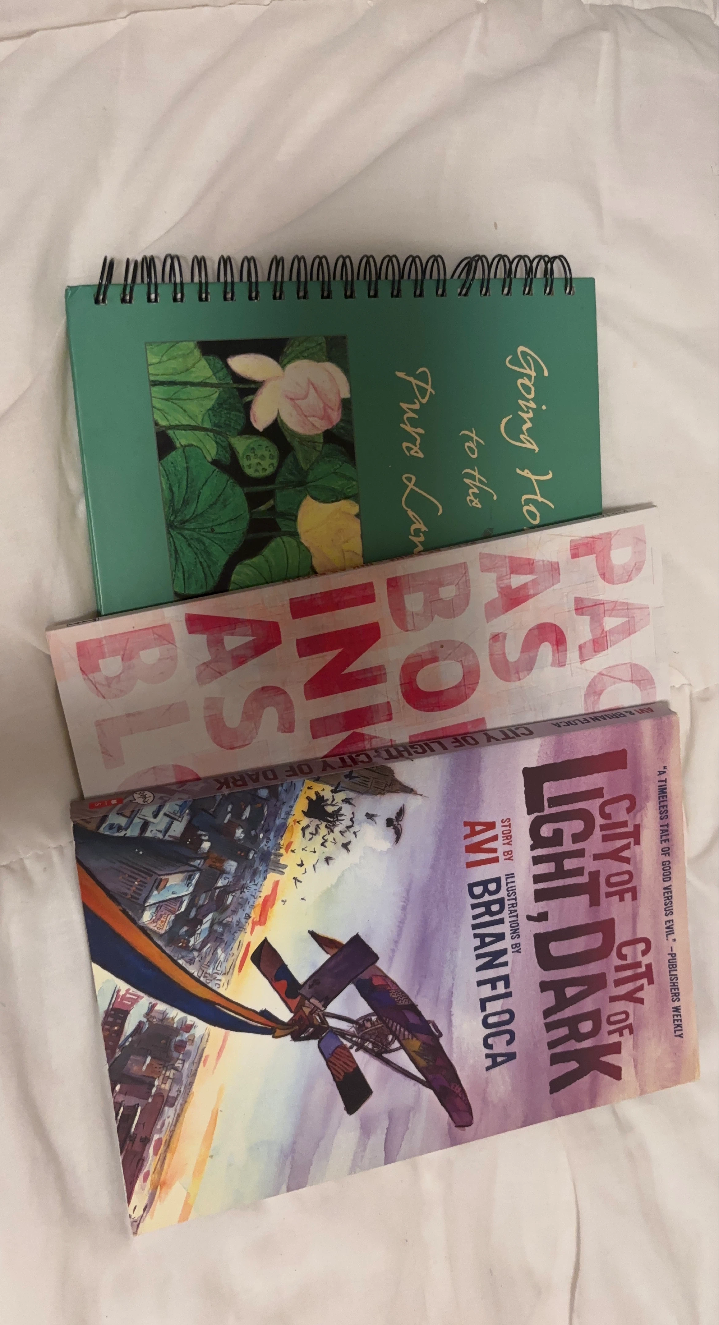 City of Light, City of Dark Book by Avi & Brian Floca