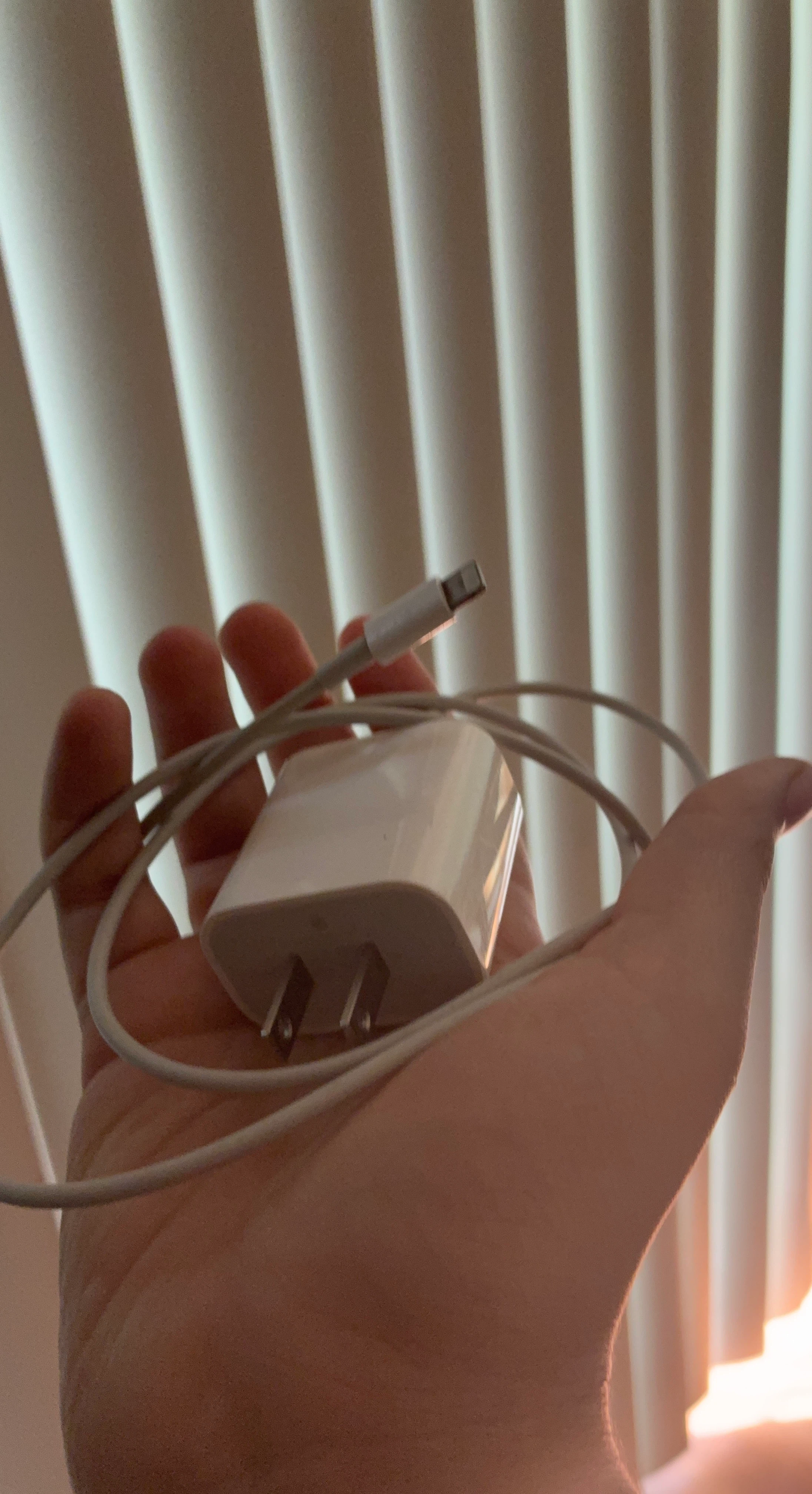 Apple iPhone Charger and Cable