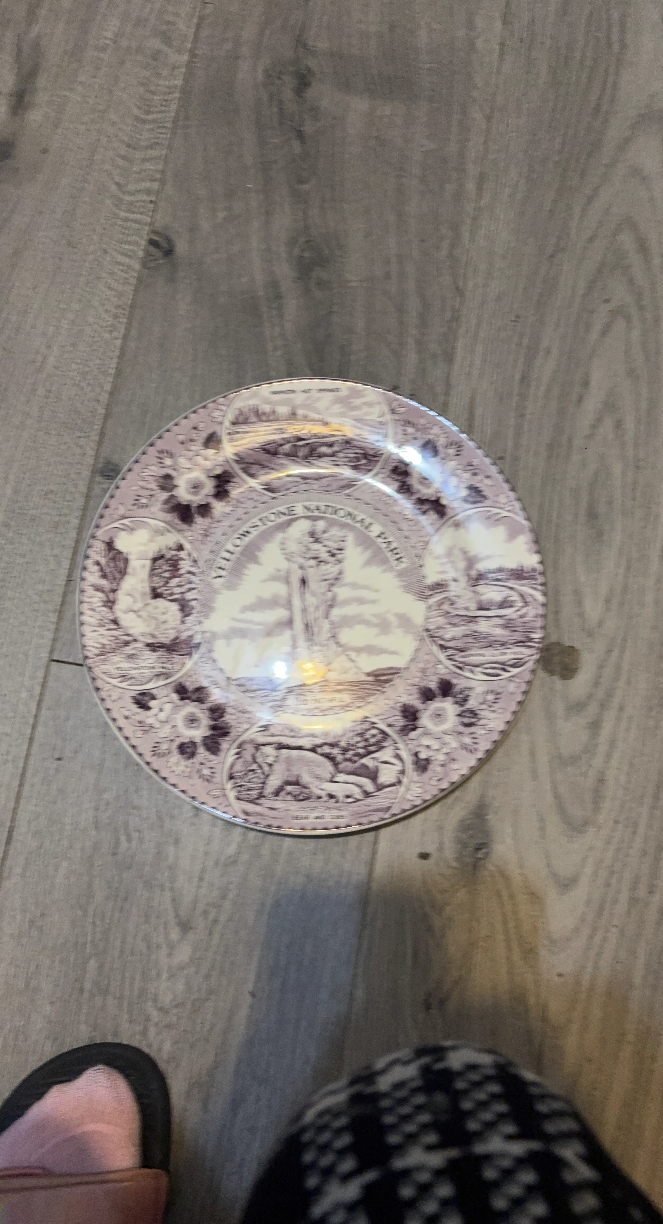 Yellowstone National Park Decorative Plate