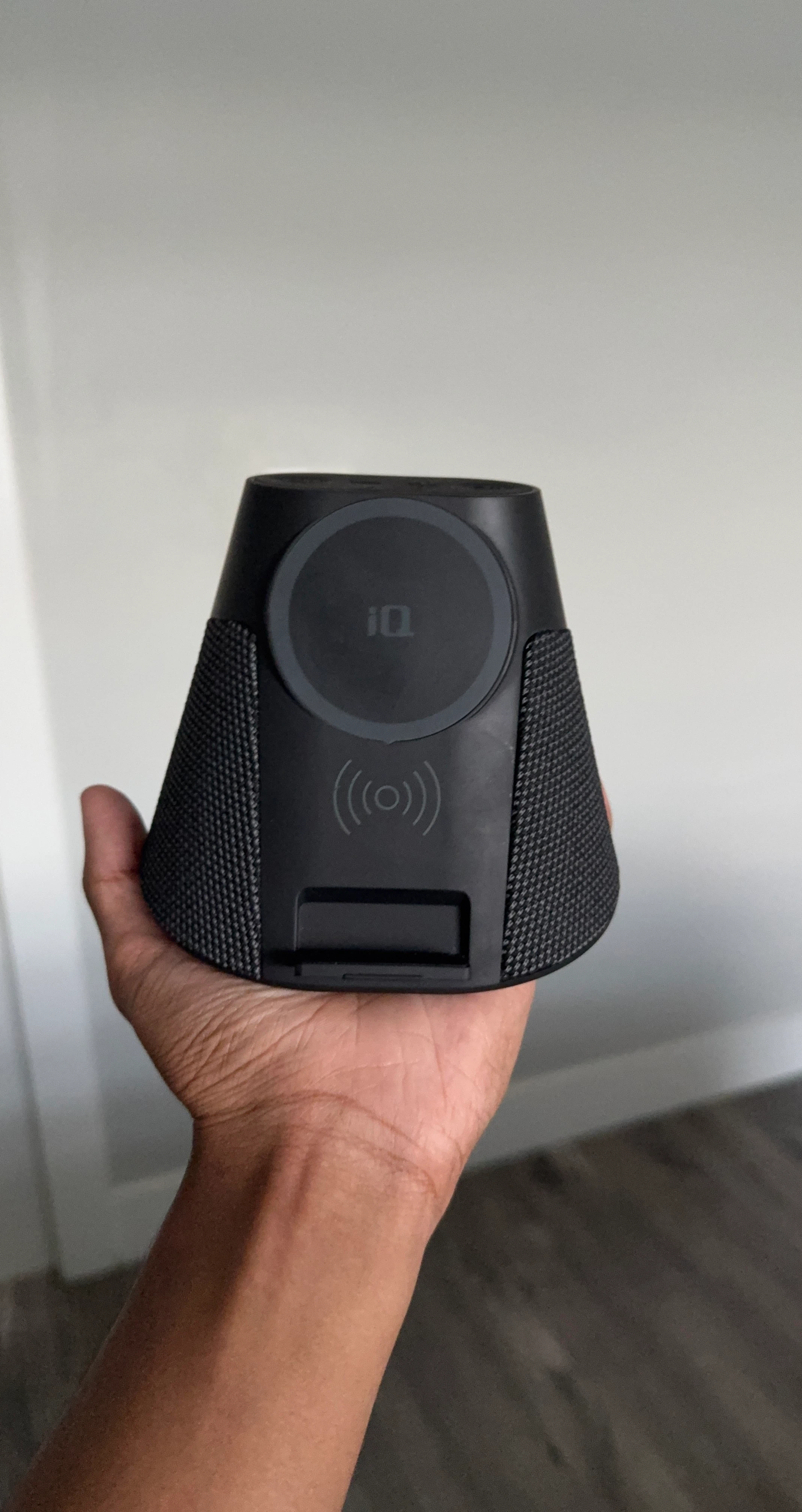 iQ Portable Speaker