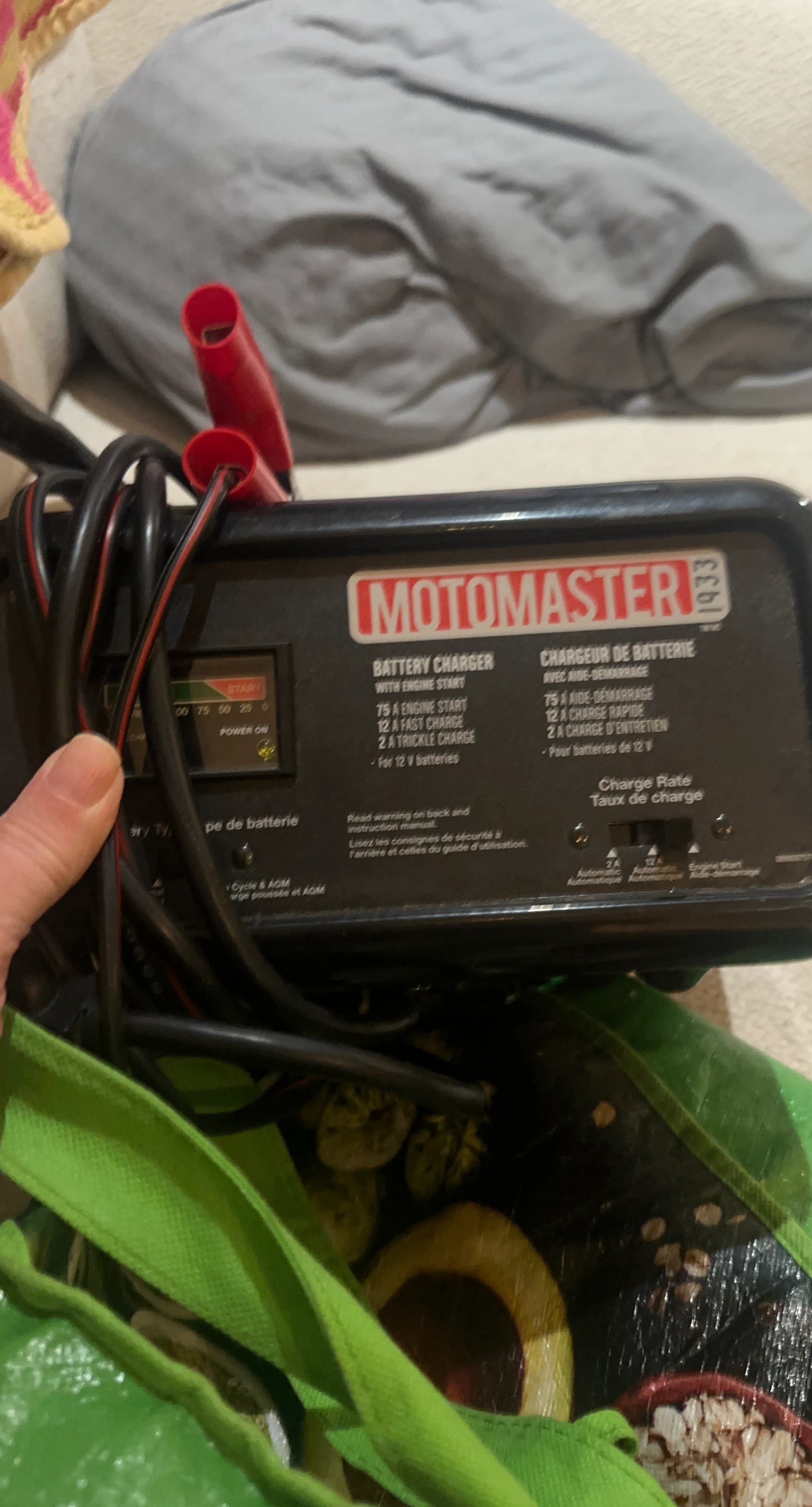 Motomaster Battery Charger