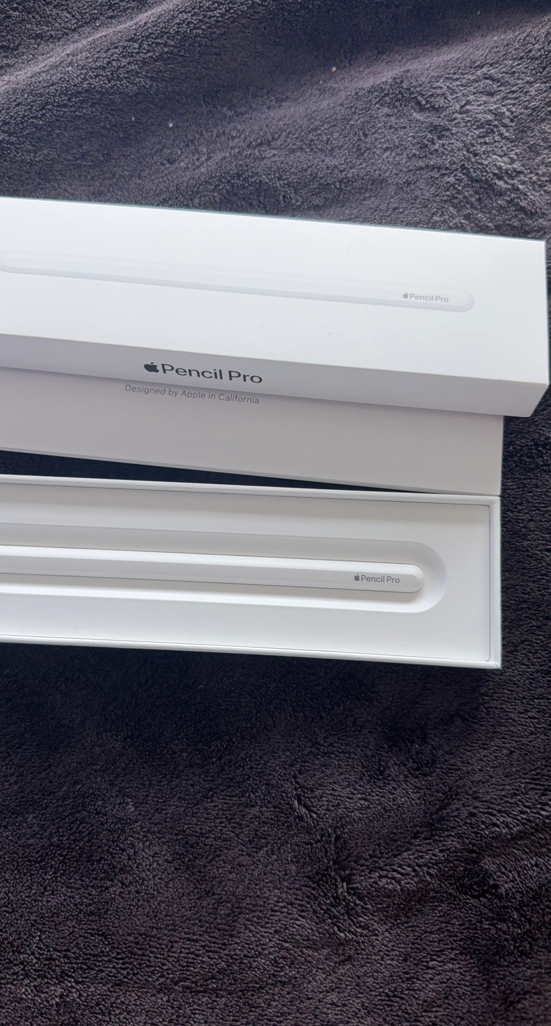 Apple Pencil Pro