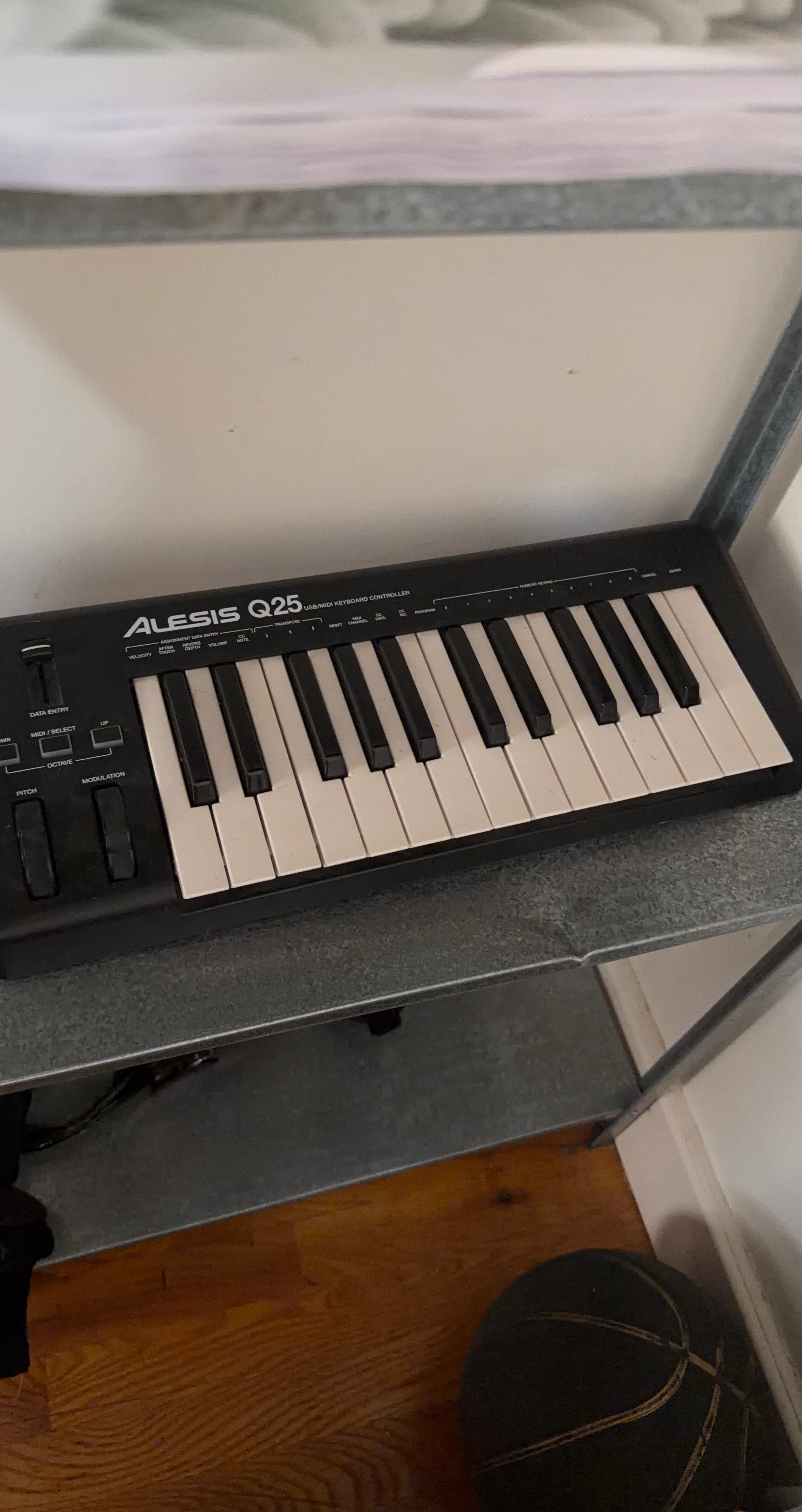 Alesis Q25 USB/MIDI Keyboard Controller