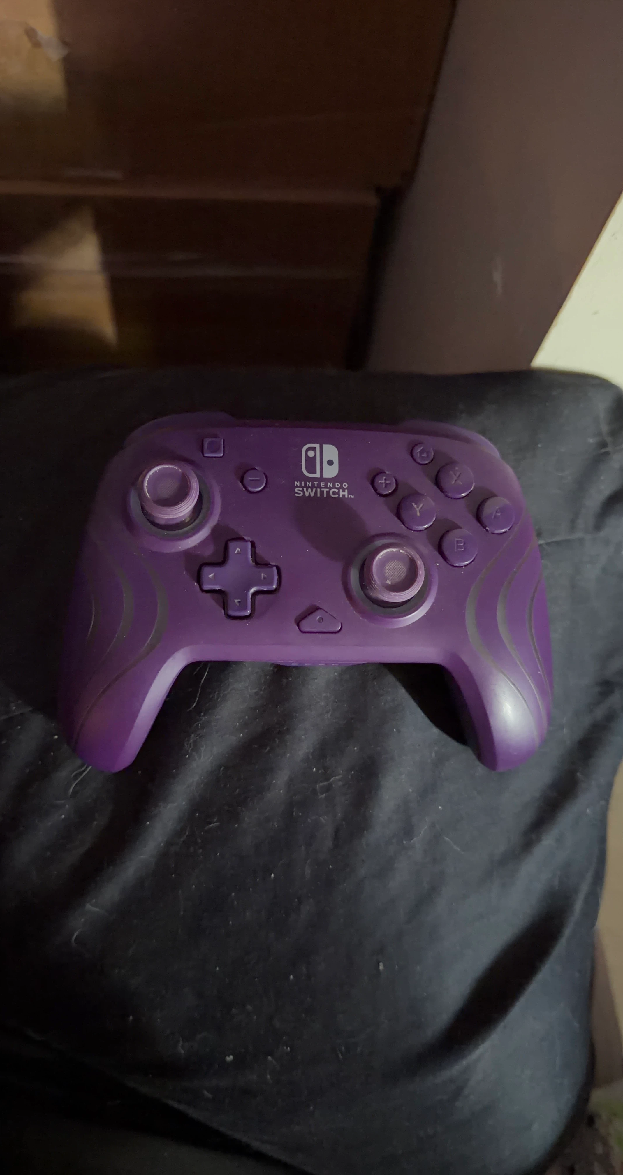 Nintendo Switch Controller