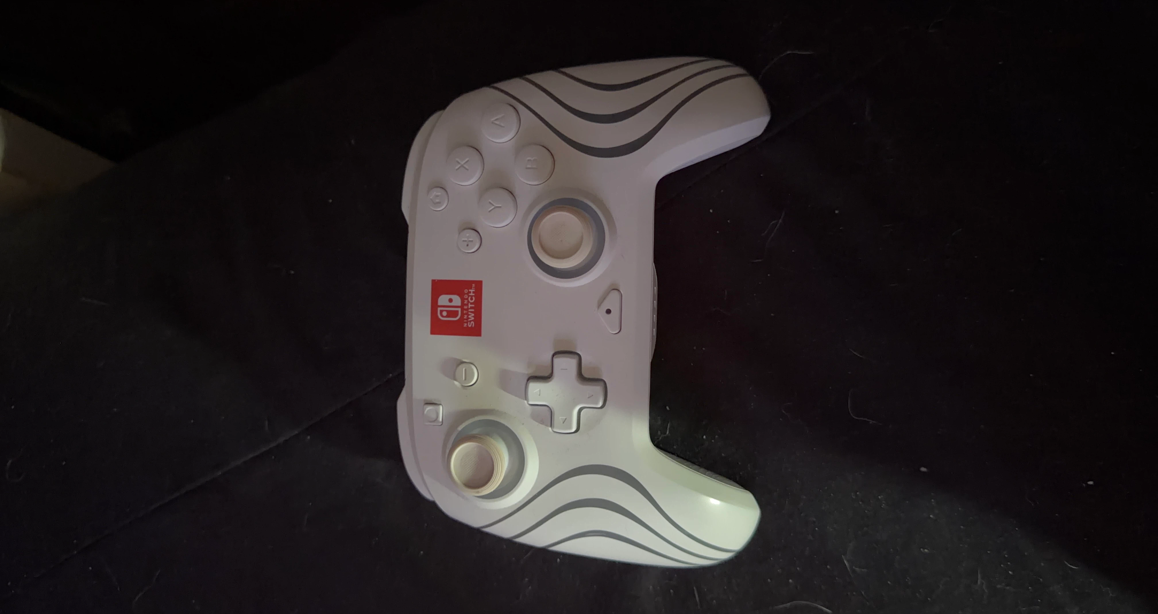 Nintendo Switch Controller