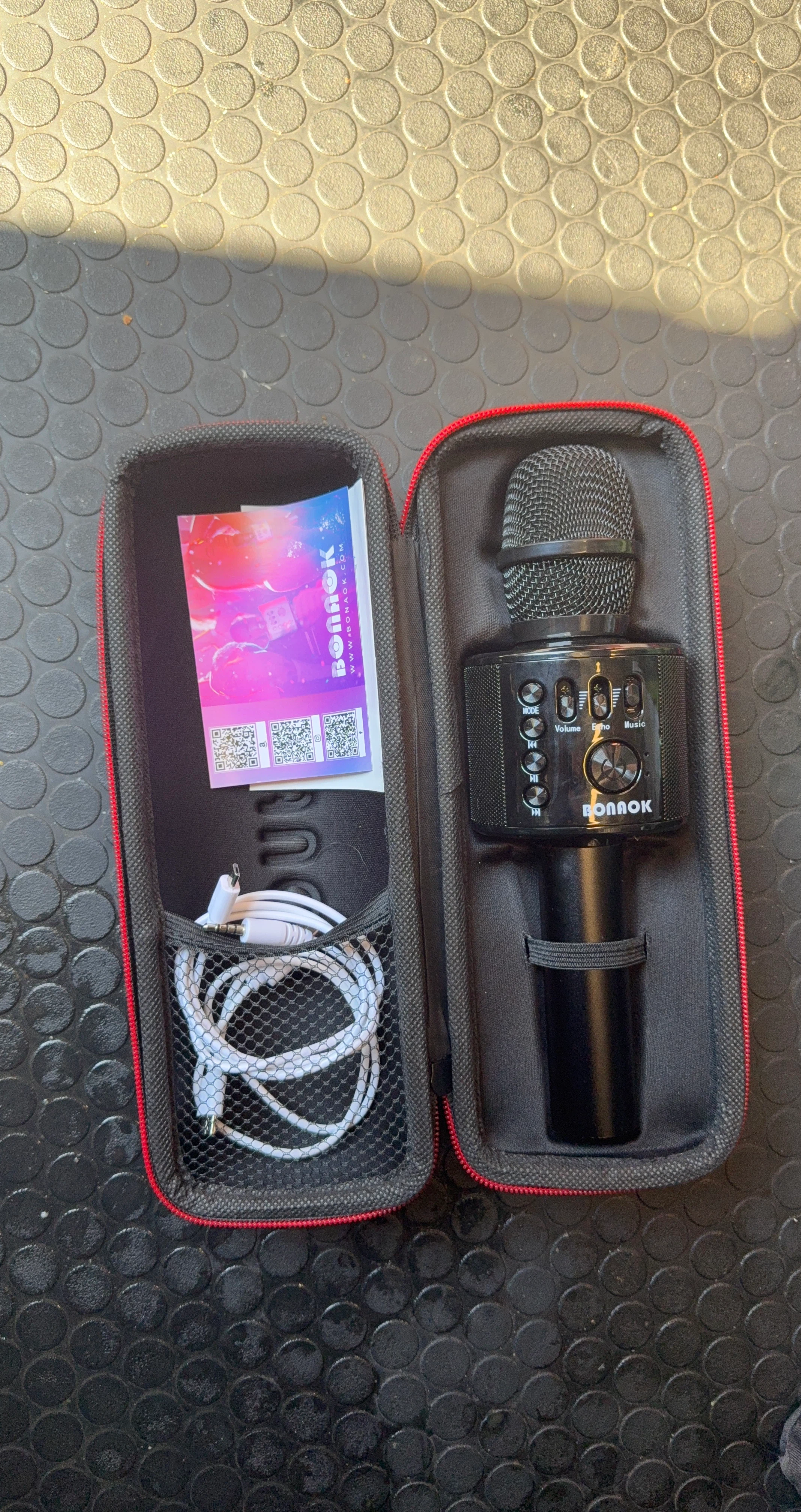 BONAOK Portable Karaoke Microphone with Case
