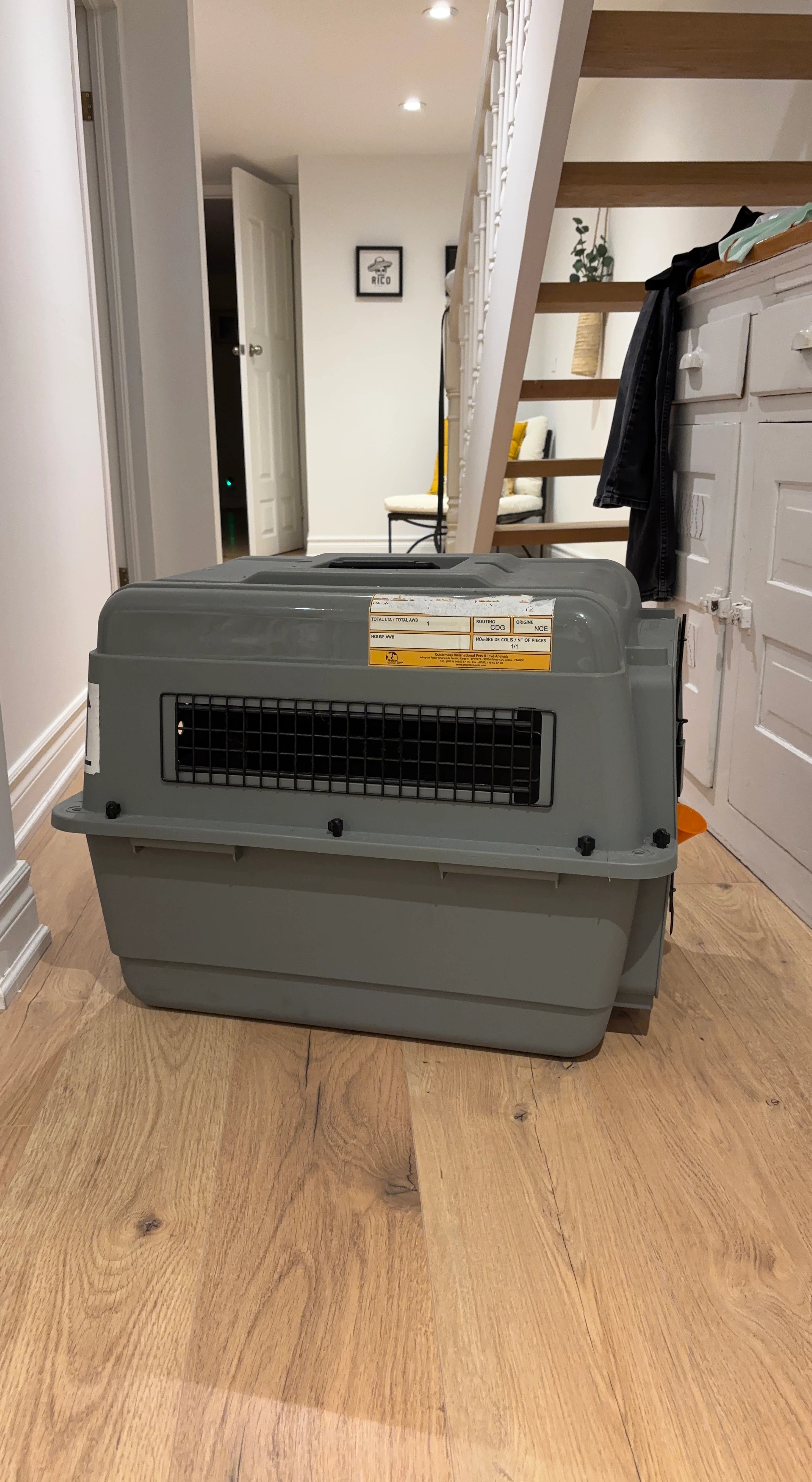Pet Carrier Crate