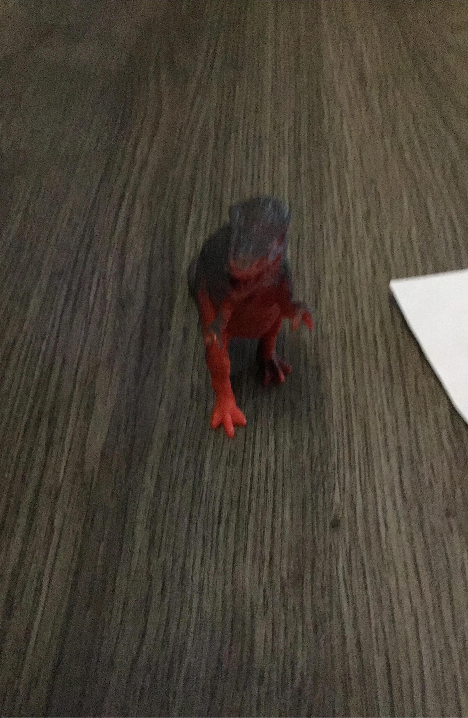 Red and Grey Dinosaur Toy