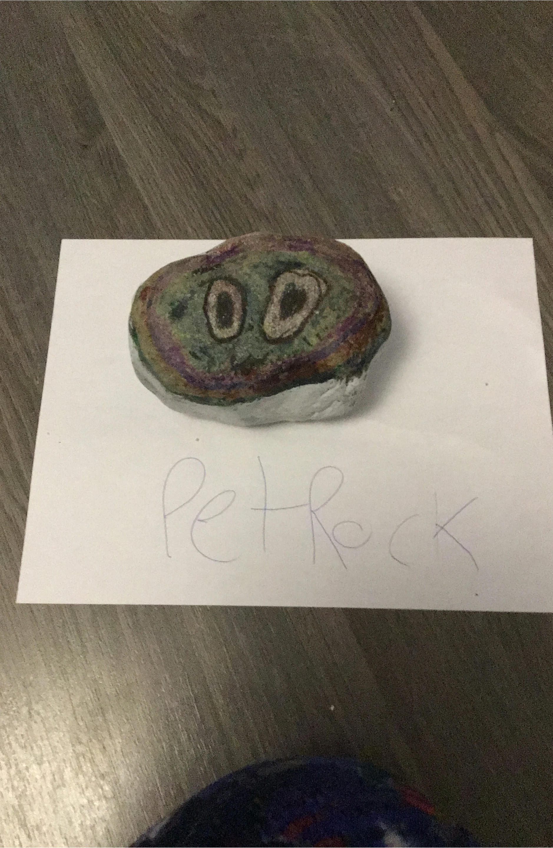 Hand-Painted Pet Rock