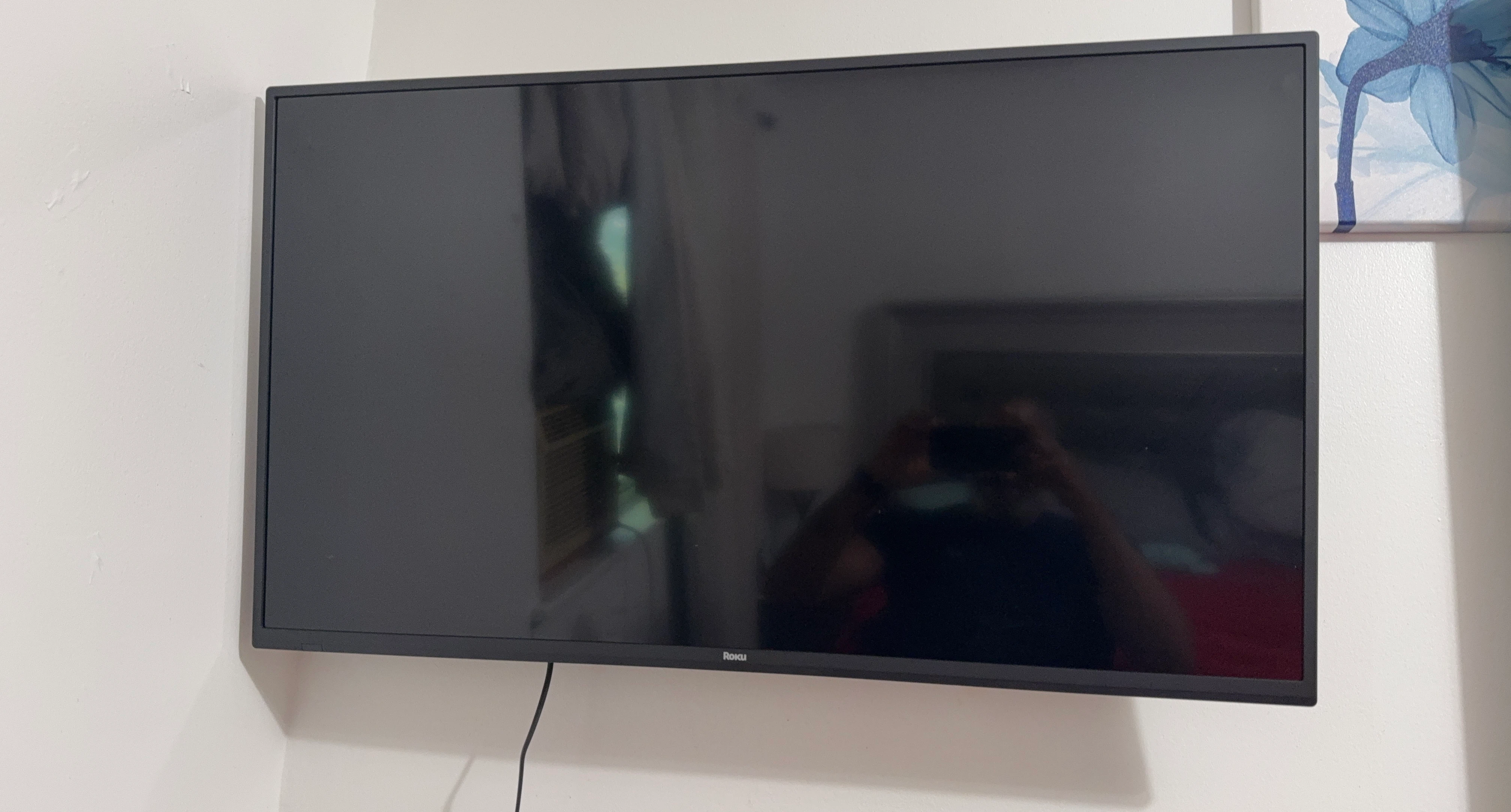 Roku Flat Screen TV