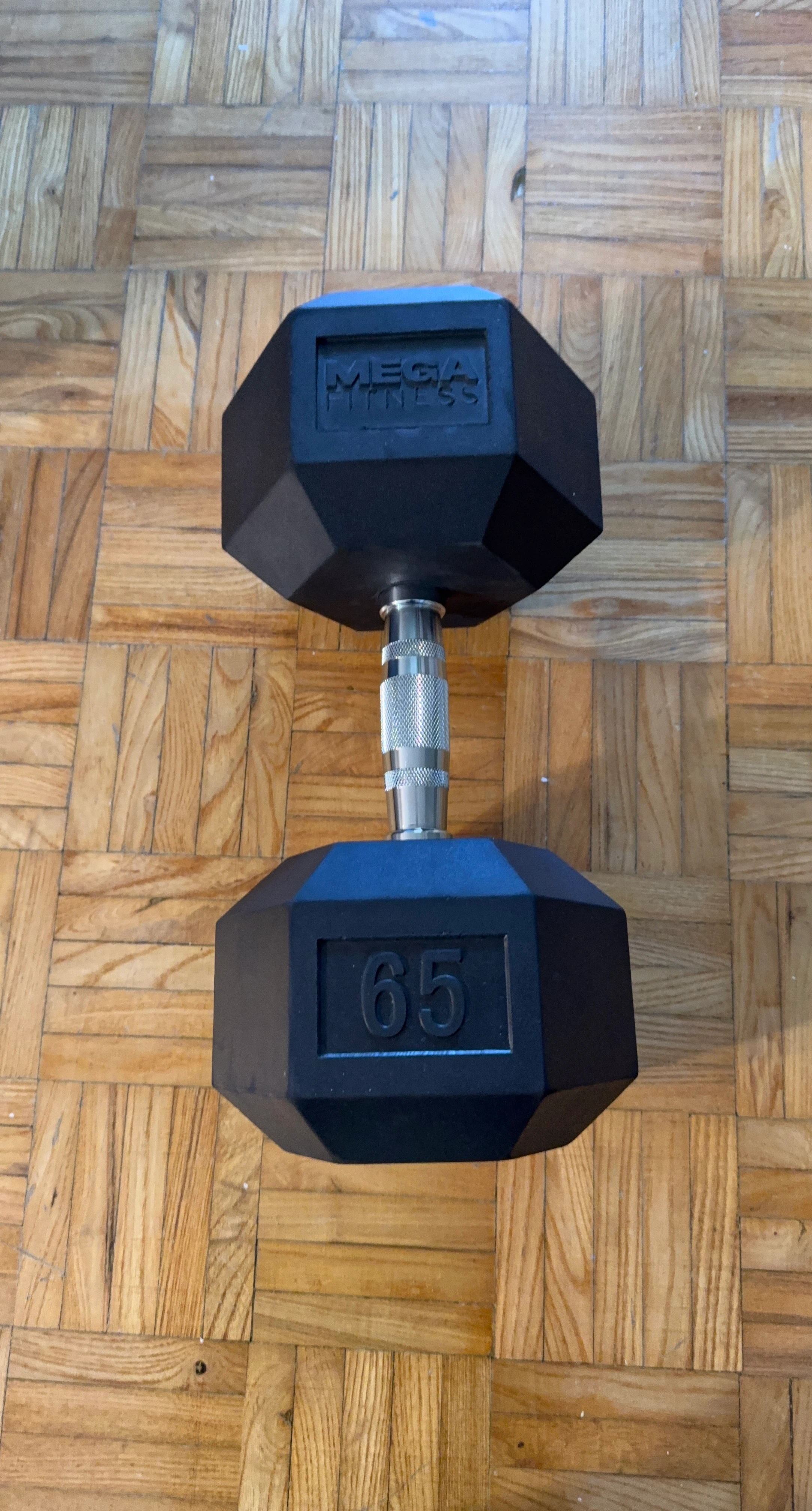 Mega Fitness 65lb Dumbbell