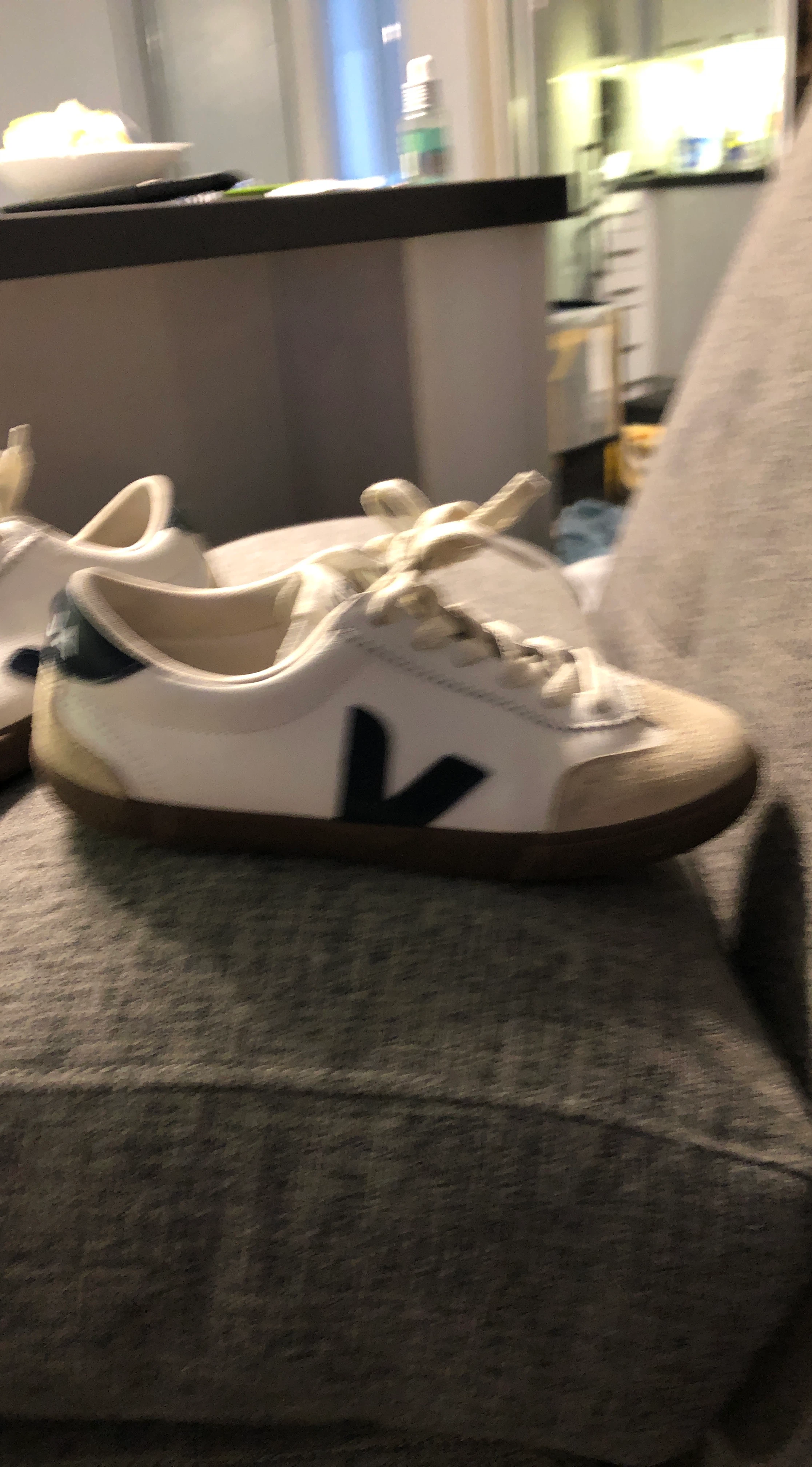 Veja V-10 Sneakers