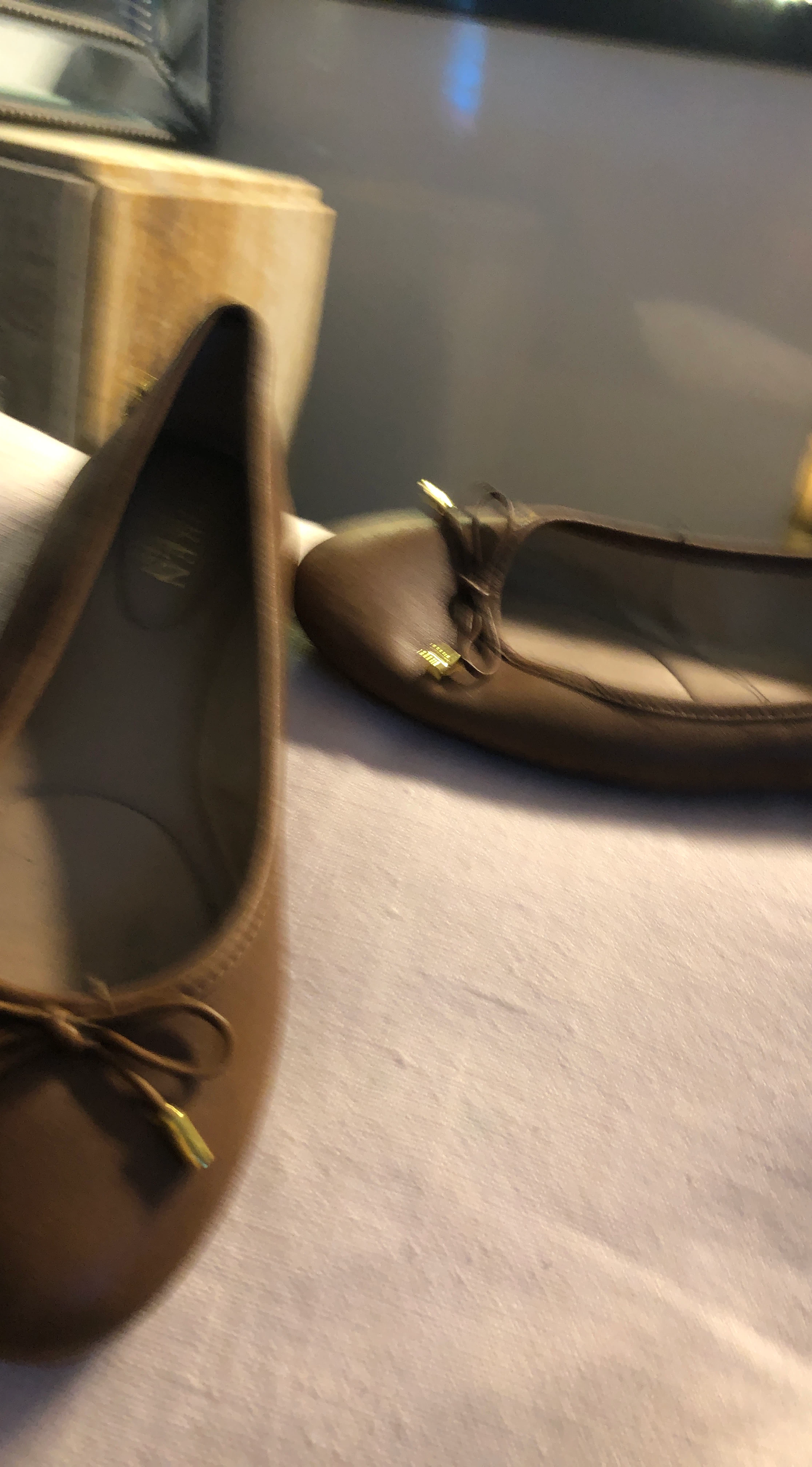 Brown Ballet Flats
