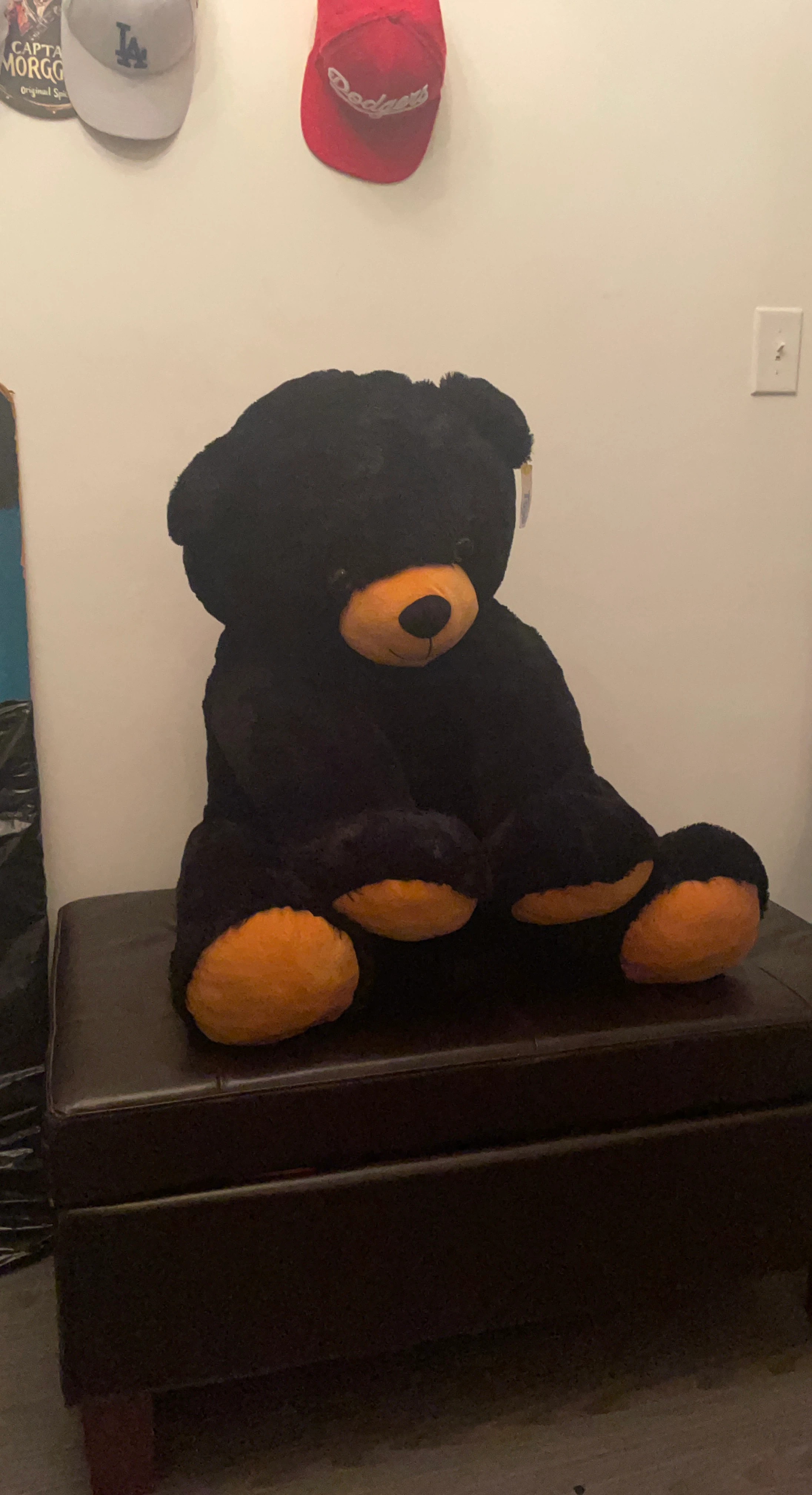Large Black Plush Bear