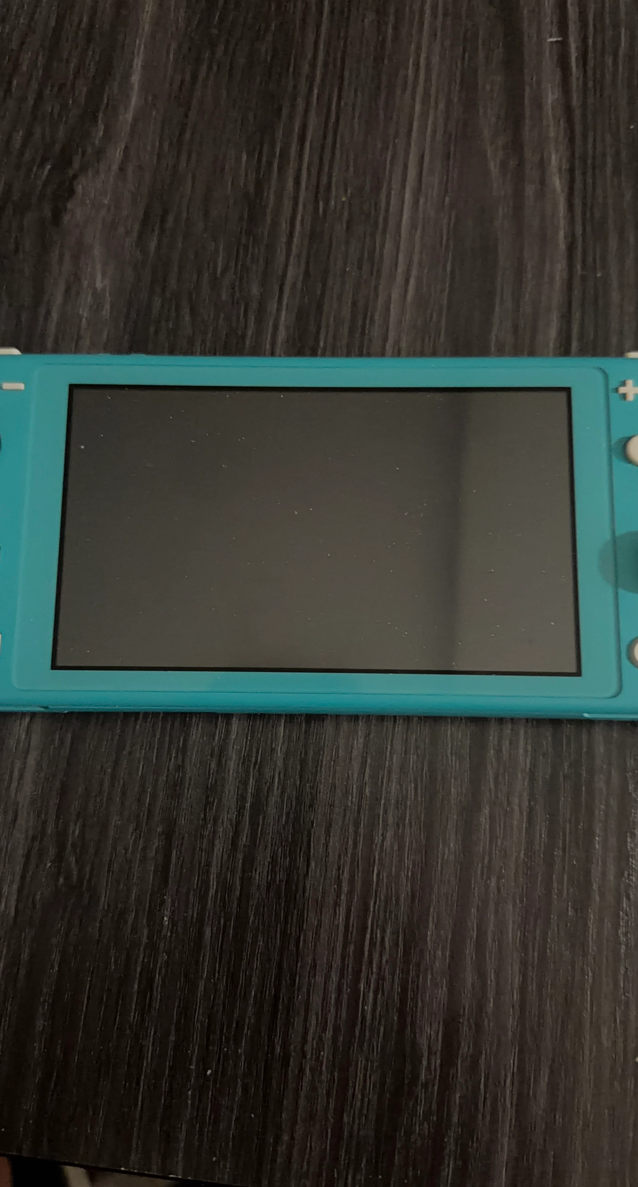 Nintendo Switch Lite Turquoise
